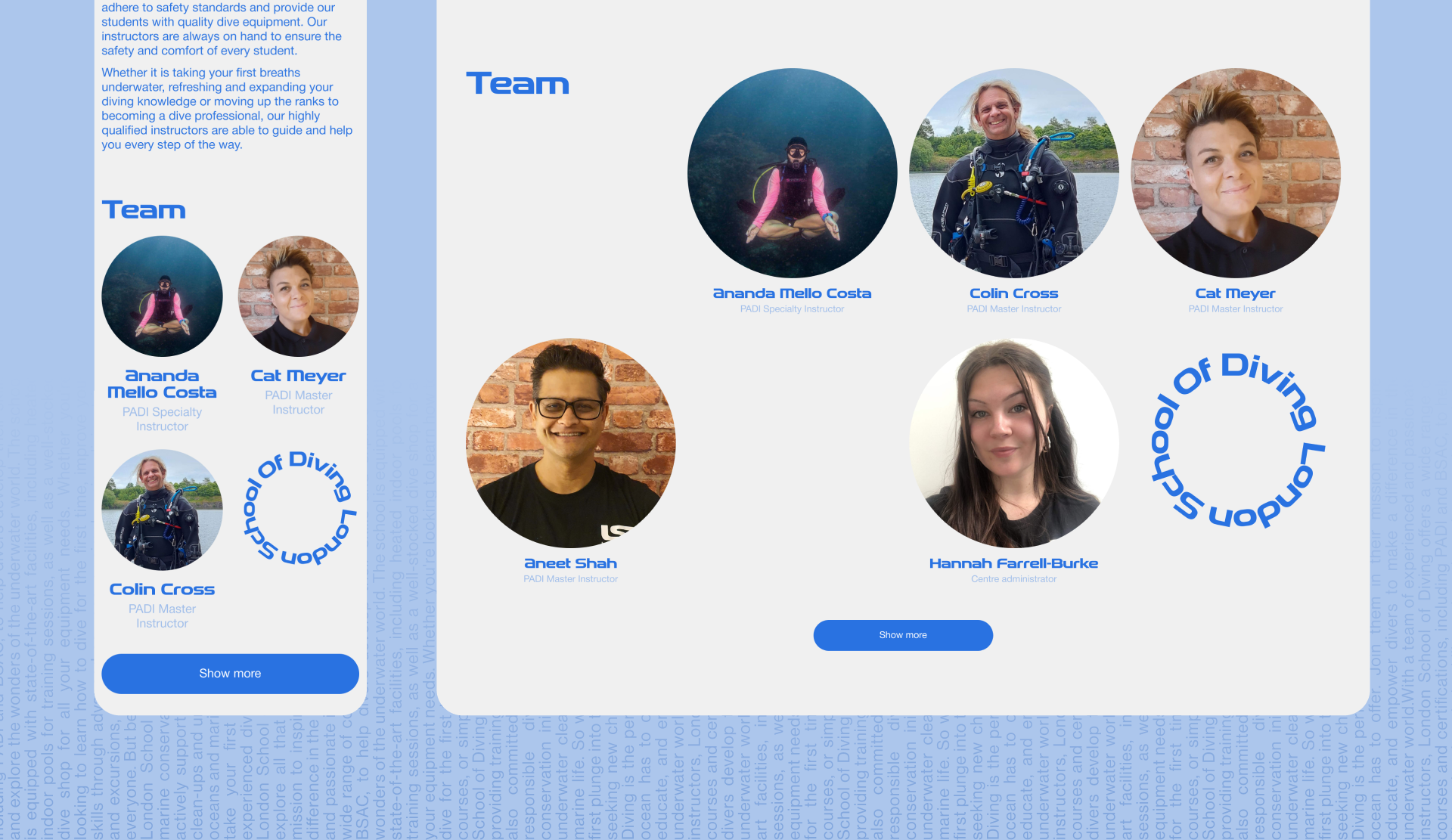 London School Of Diving |Redesign — Изображение №11 — Интерфейсы, Анимация на Dprofile