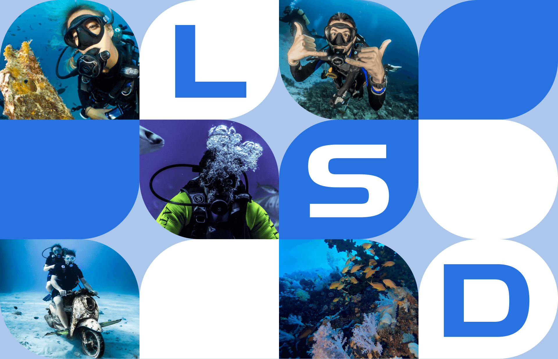 London School Of Diving |Redesign — Изображение №6 — Интерфейсы, Анимация на Dprofile