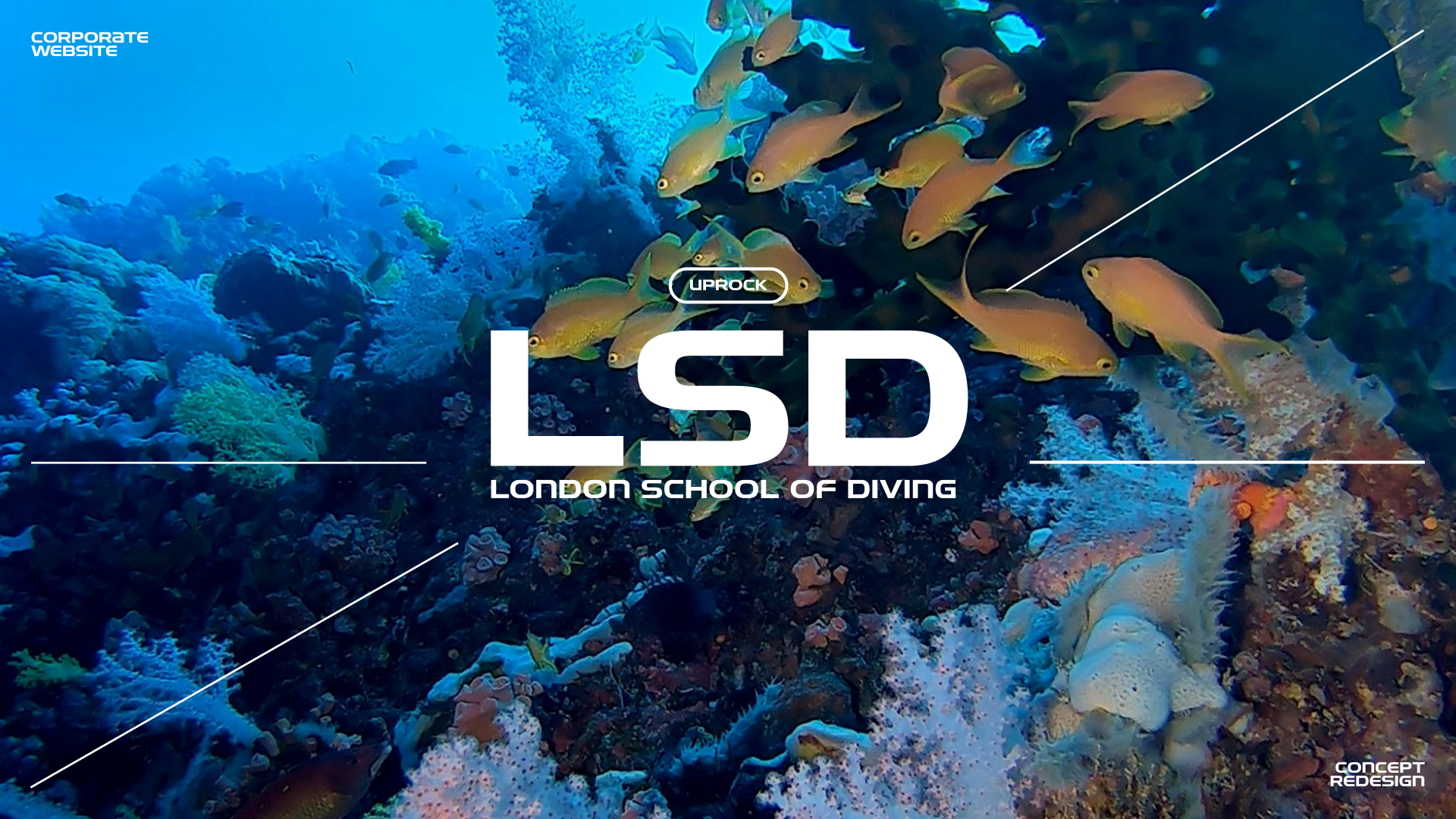 London School Of Diving |Redesign — Изображение №1 — Интерфейсы, Анимация на Dprofile