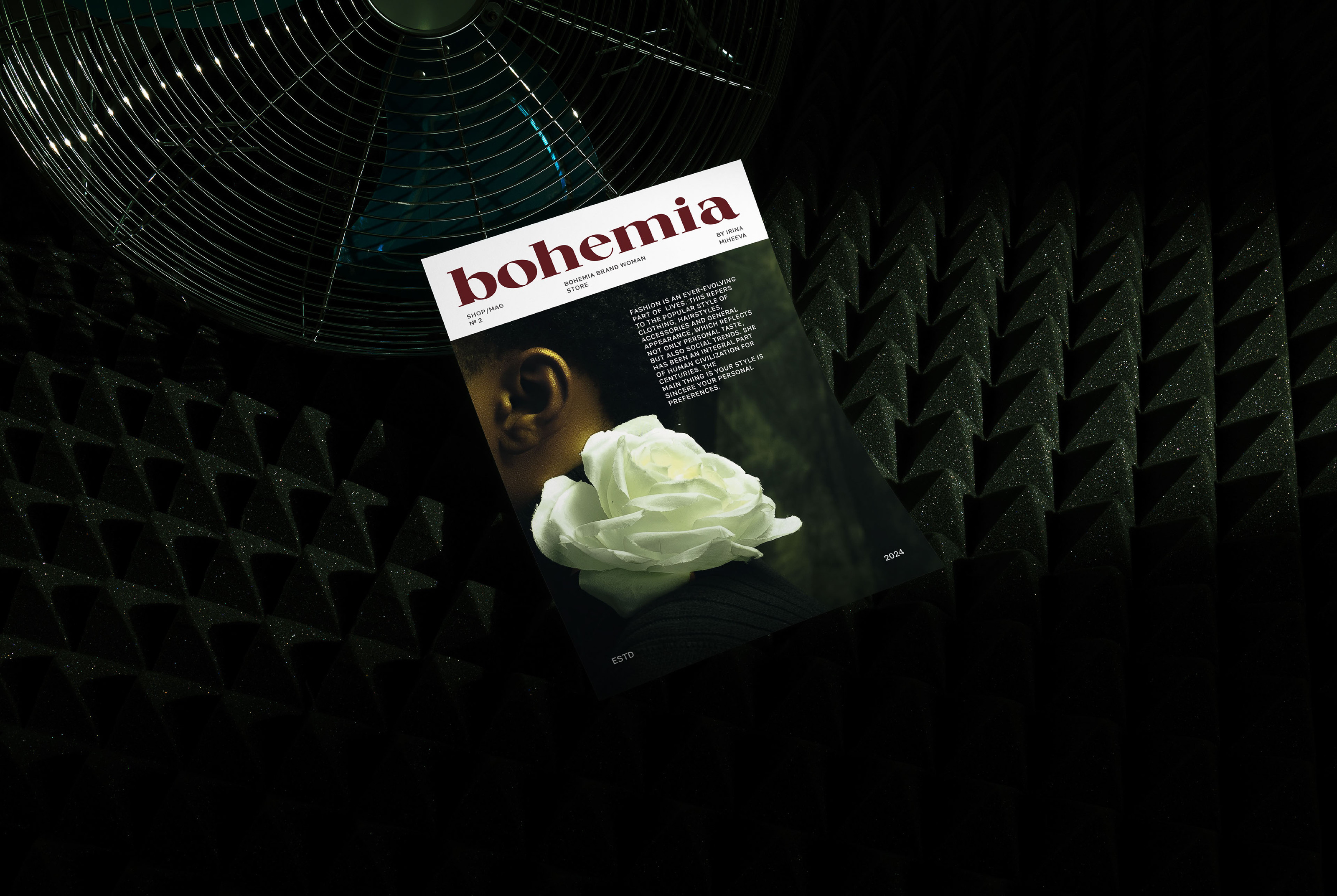 Bohemia / Айдентика для бренда женской одежды — Изображение №4 — Брендинг на Dprofile