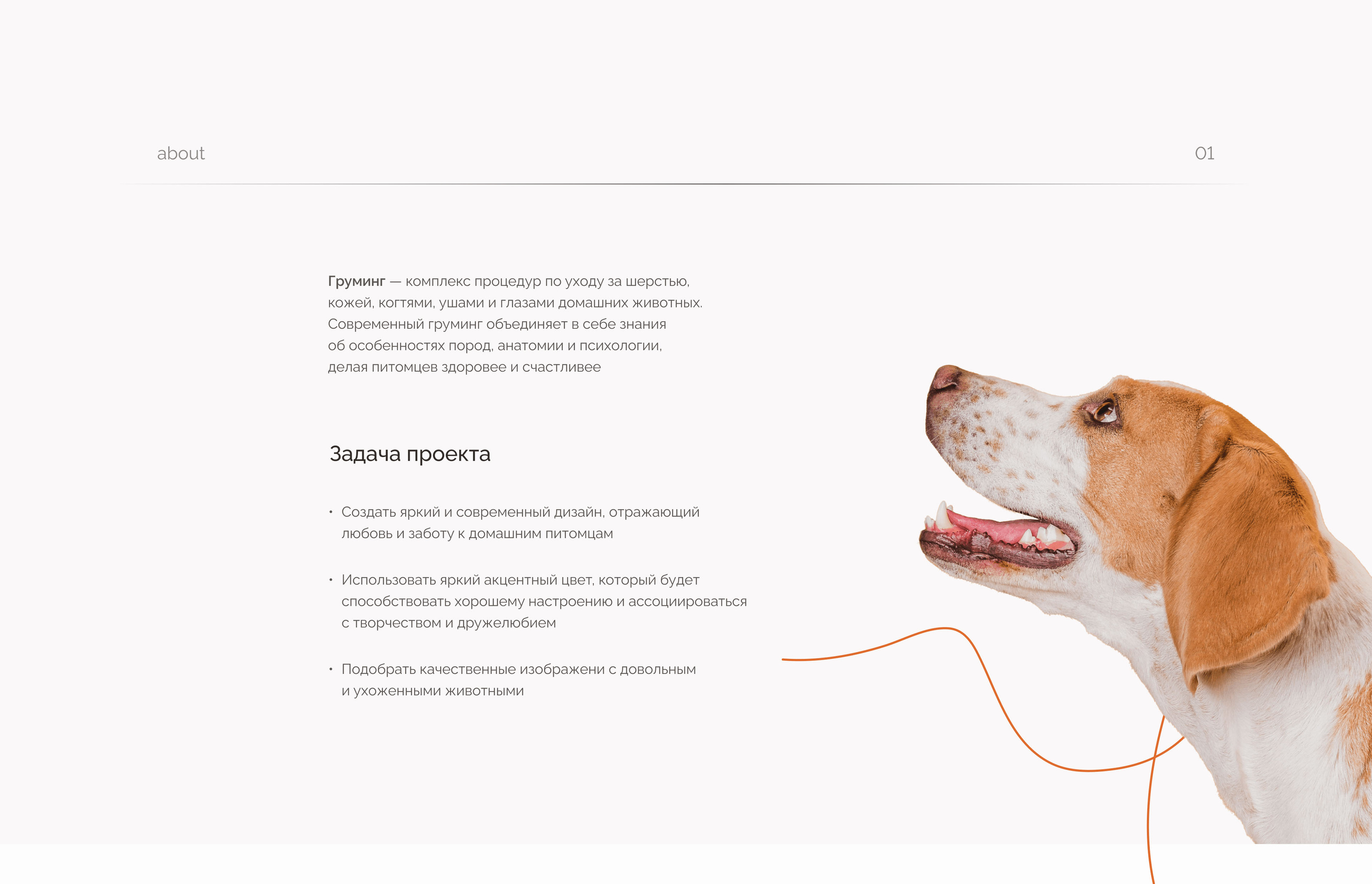 Landing page grooming — Изображение №3 — Интерфейсы на Dprofile