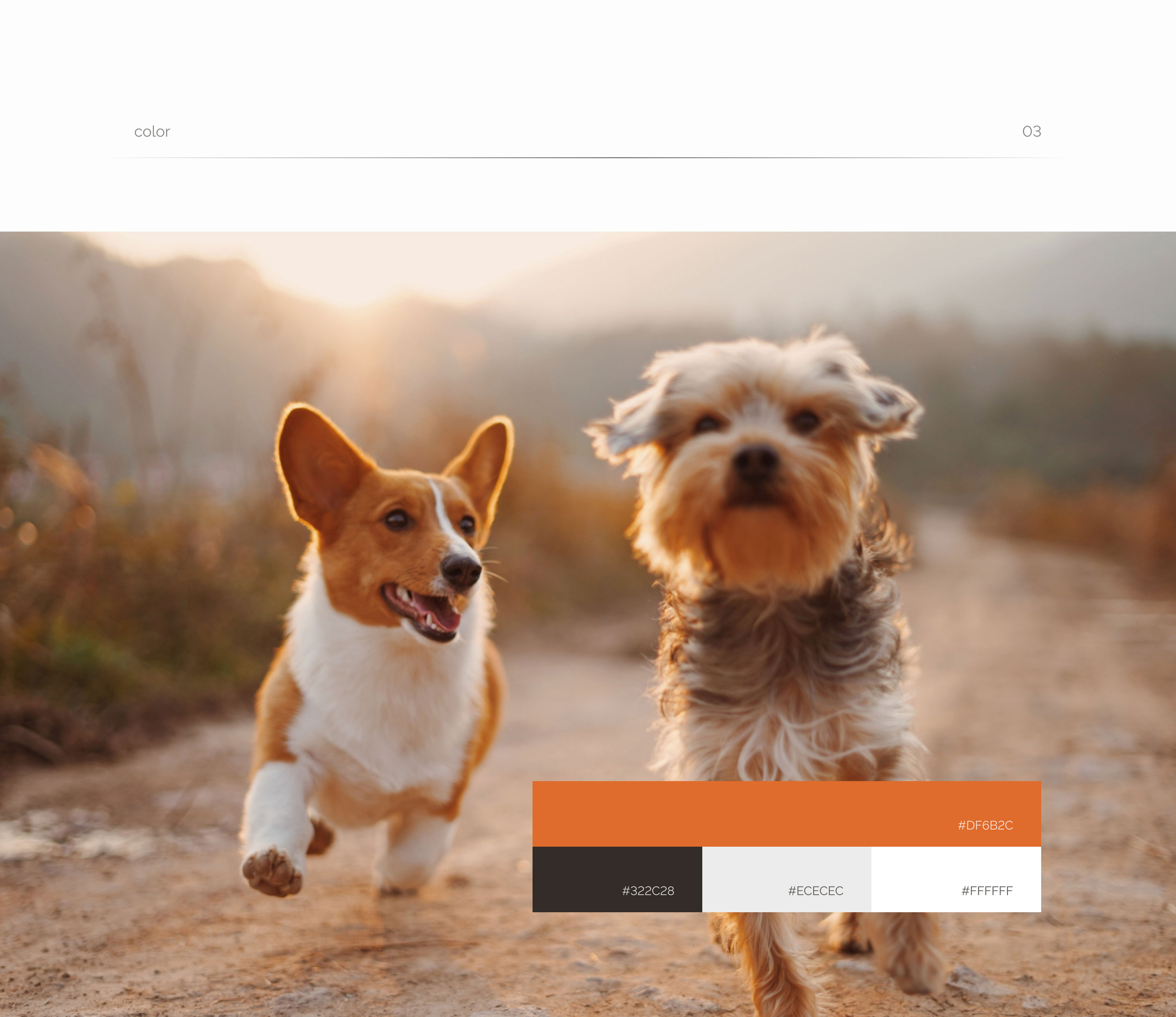 Landing page grooming — Изображение №5 — Интерфейсы на Dprofile