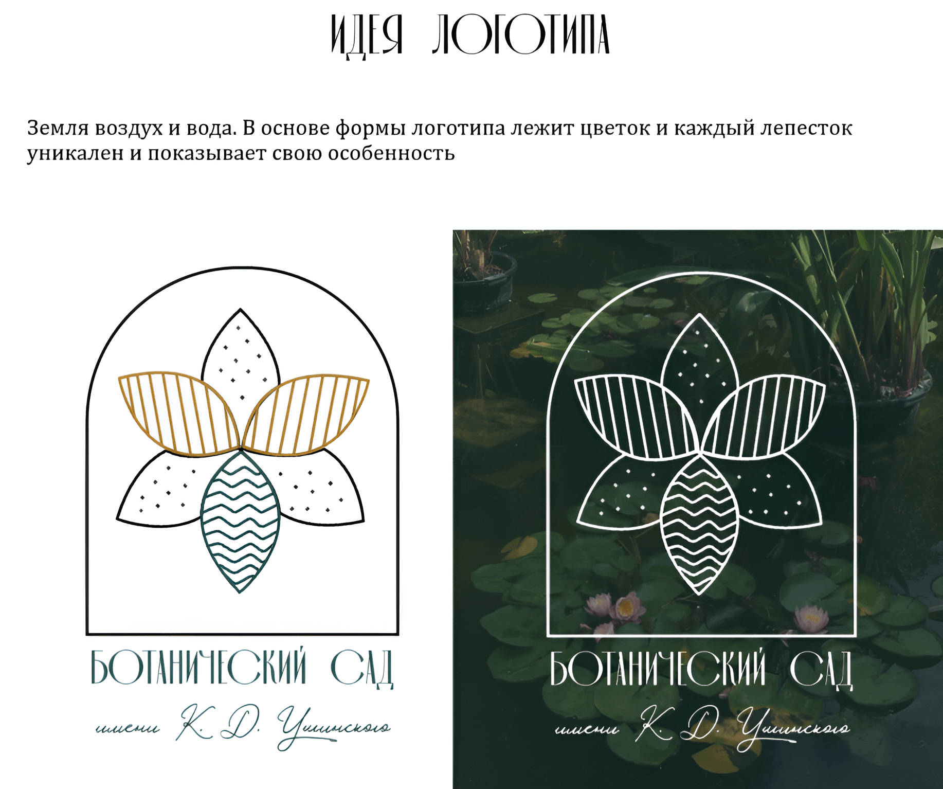 Ботанический сад имени К. Д. Ушинского — Изображение №5 — Брендинг, Графика на Dprofile