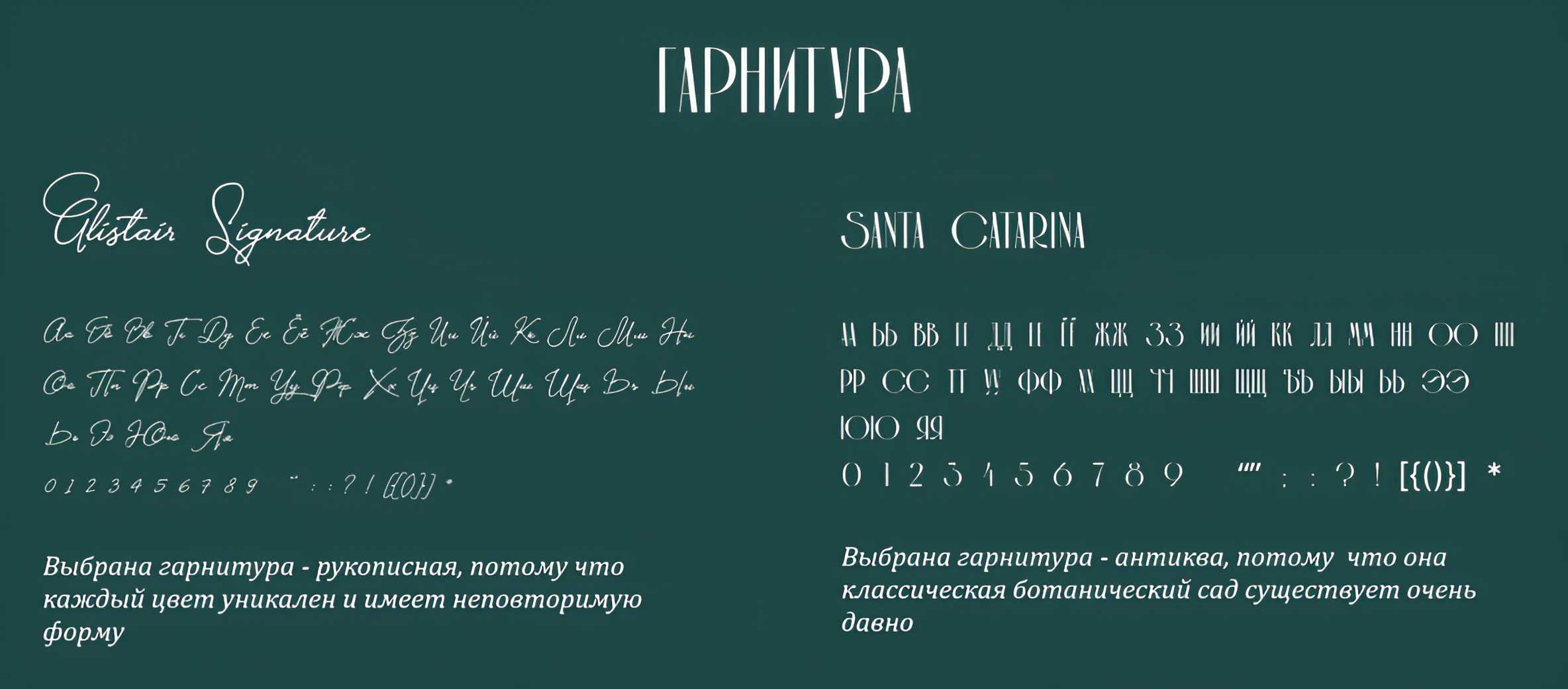 Ботанический сад имени К. Д. Ушинского — Изображение №7 — Брендинг, Графика на Dprofile