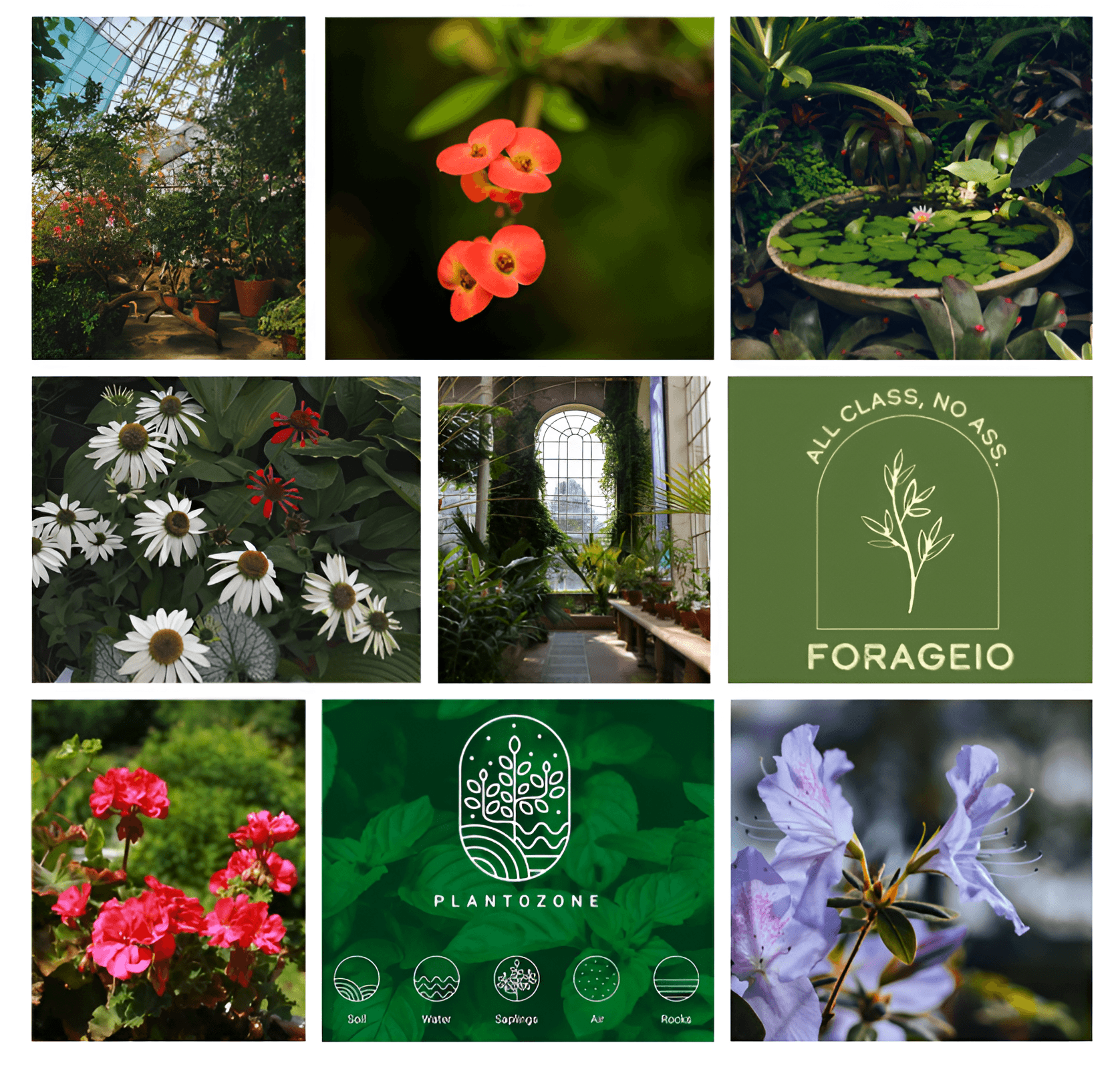 Ботанический сад имени К. Д. Ушинского — Изображение №3 — Брендинг, Графика на Dprofile