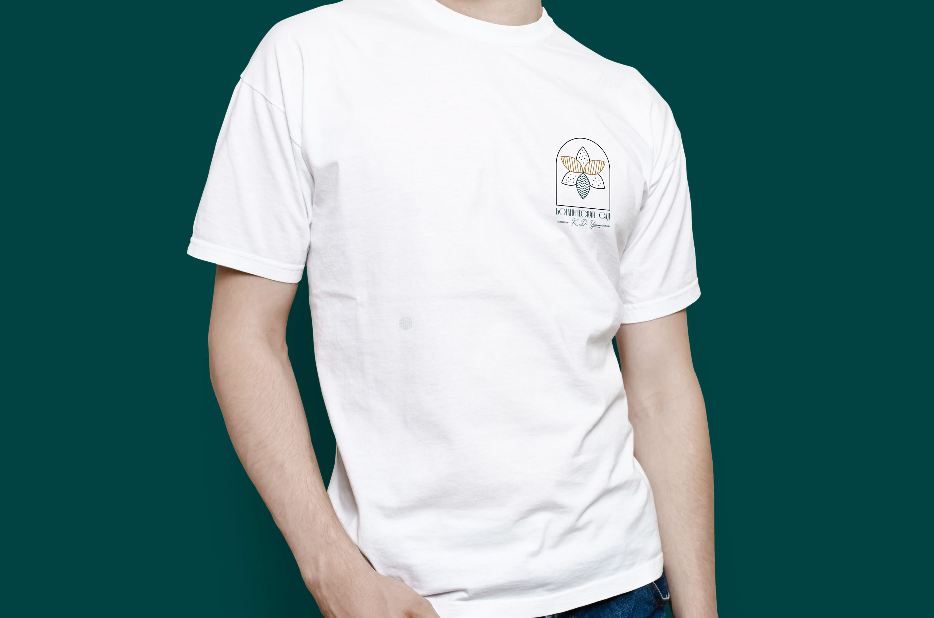 Ботанический сад имени К. Д. Ушинского — Изображение №14 — Брендинг, Графика на Dprofile