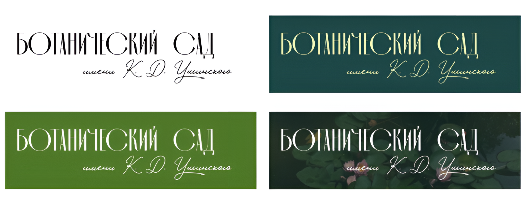 Ботанический сад имени К. Д. Ушинского — Изображение №4 — Брендинг, Графика на Dprofile