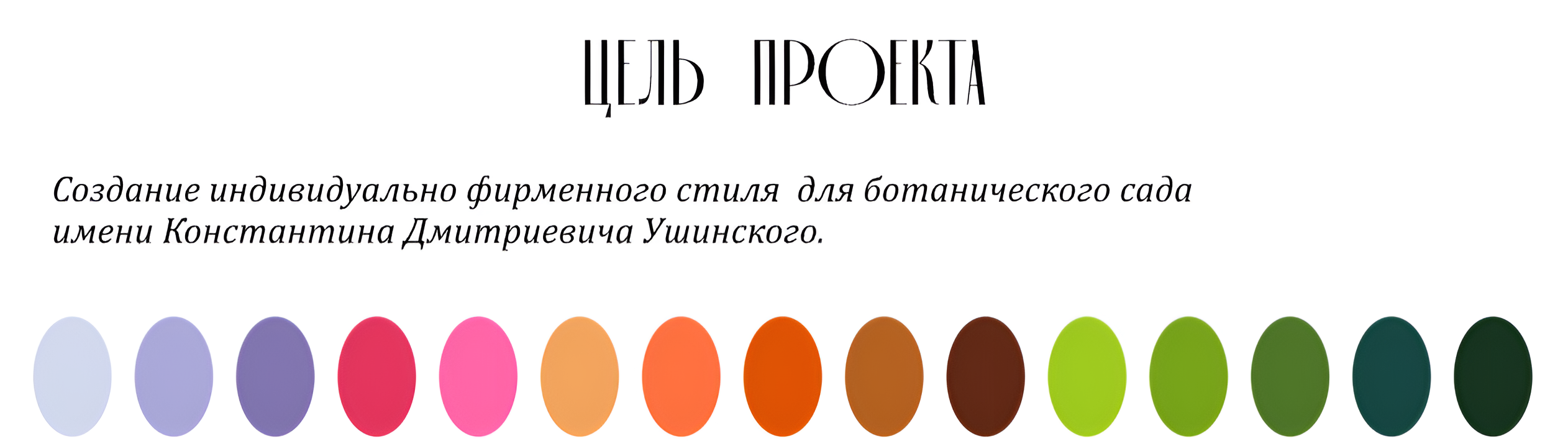 Ботанический сад имени К. Д. Ушинского — Изображение №2 — Брендинг, Графика на Dprofile