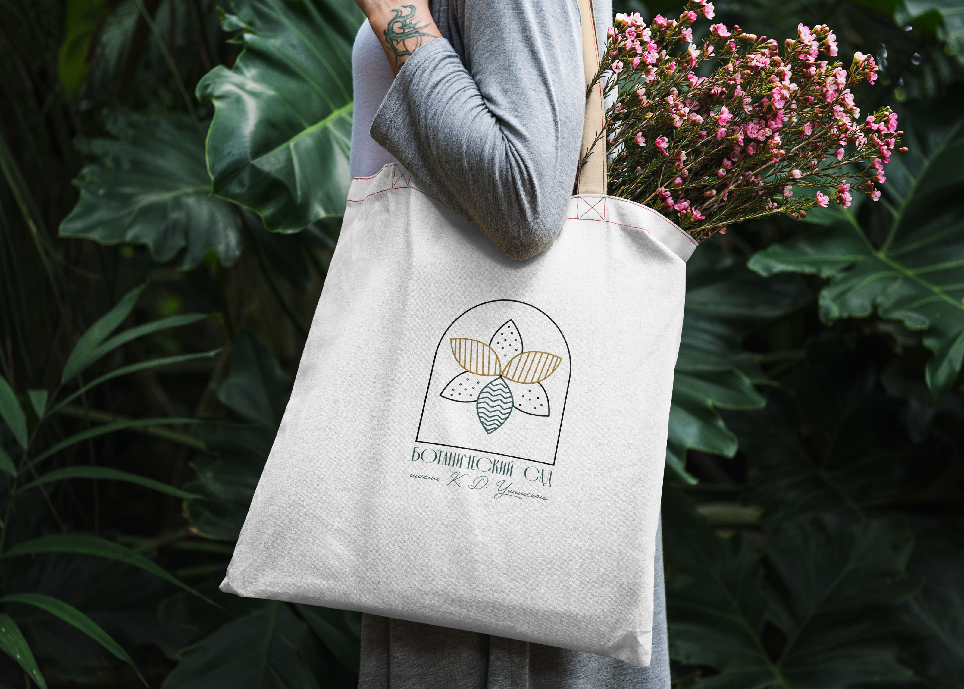 Ботанический сад имени К. Д. Ушинского — Изображение №11 — Брендинг, Графика на Dprofile