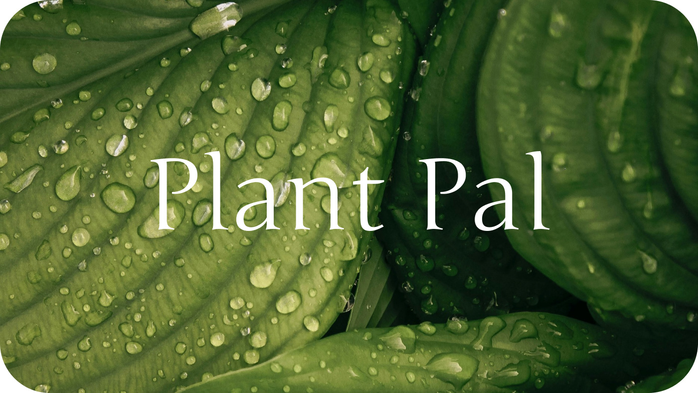 Приложение по уходу за растениями Plant Pal — Изображение №3 — Интерфейсы на Dprofile