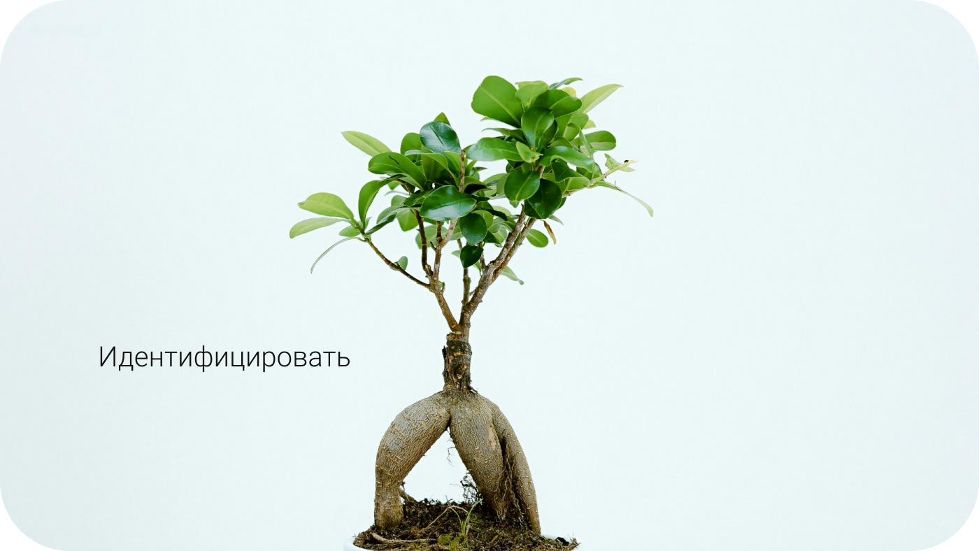 Приложение по уходу за растениями Plant Pal — Изображение №6 — Интерфейсы на Dprofile