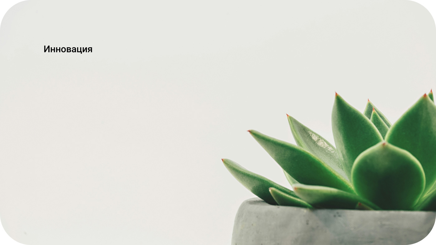 Приложение по уходу за растениями Plant Pal — Изображение №10 — Интерфейсы на Dprofile
