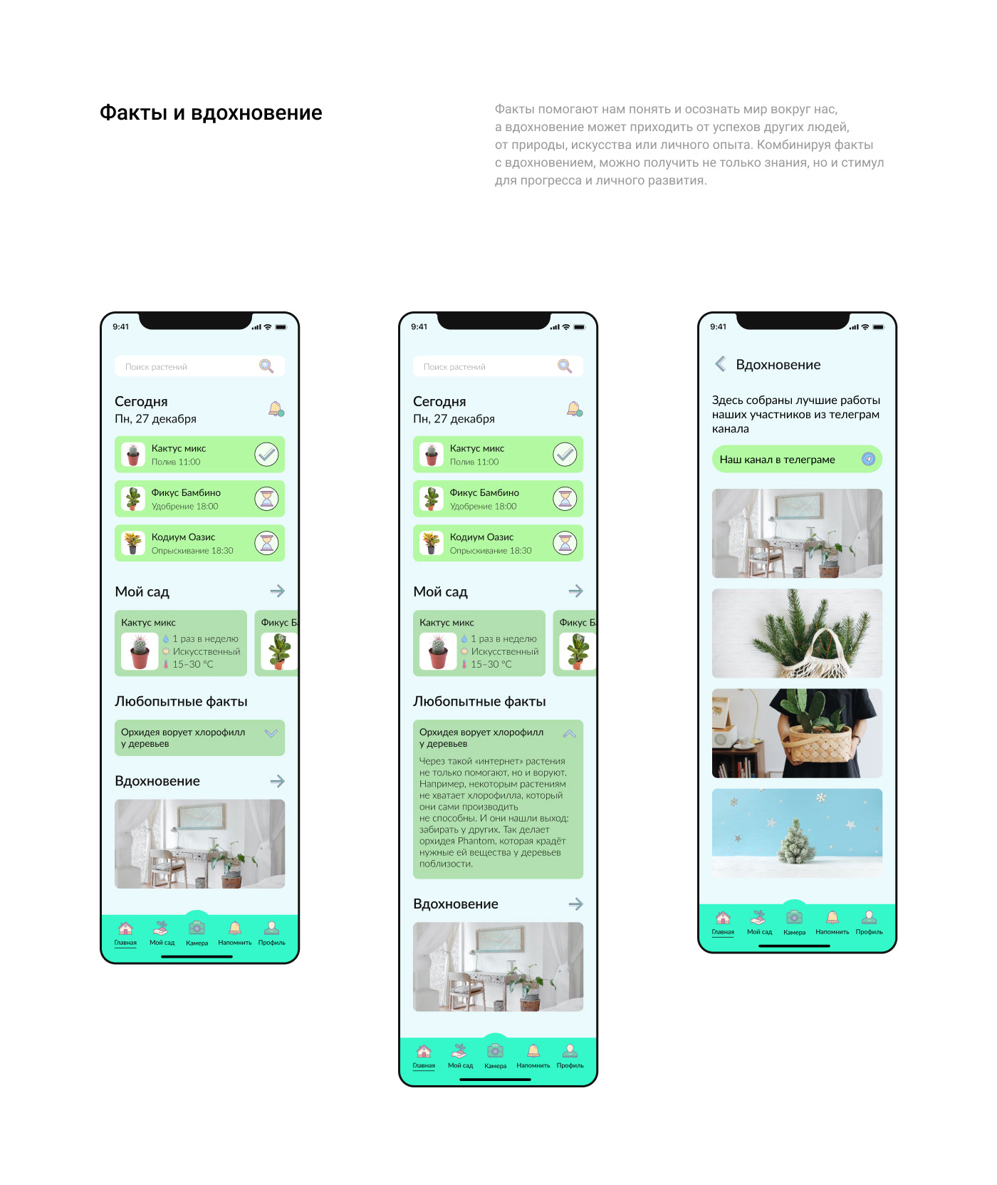 Приложение по уходу за растениями Plant Pal — Изображение №19 — Интерфейсы на Dprofile
