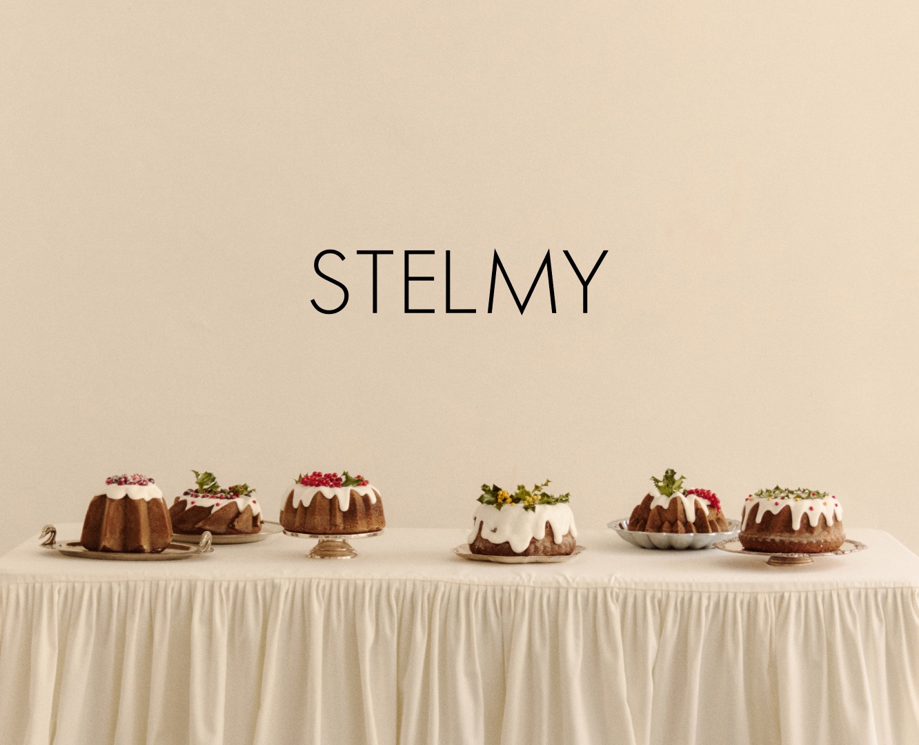 STELMY логотип — Брендинг на Dprofile