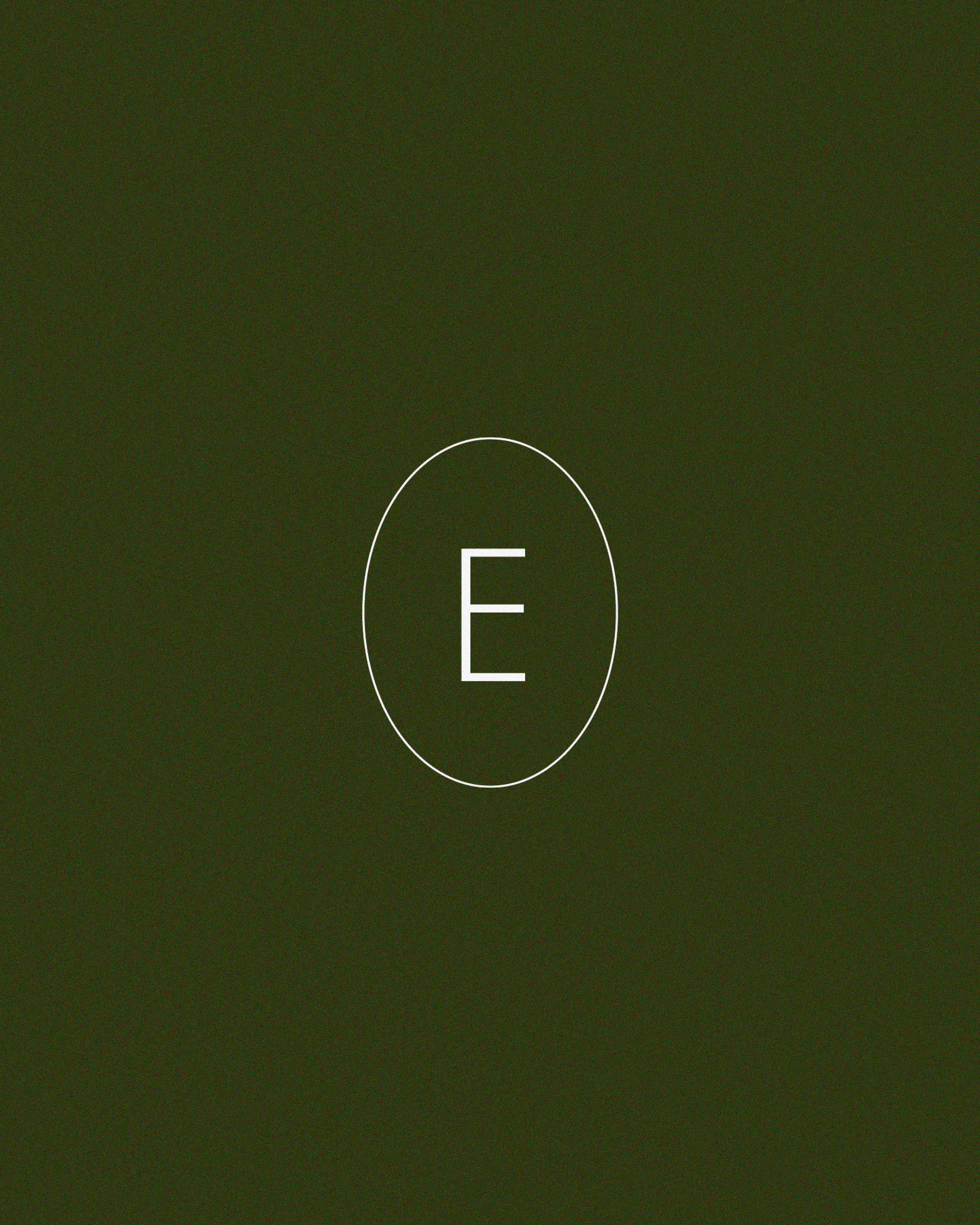 STELMY логотип — Изображение №5 — Брендинг на Dprofile