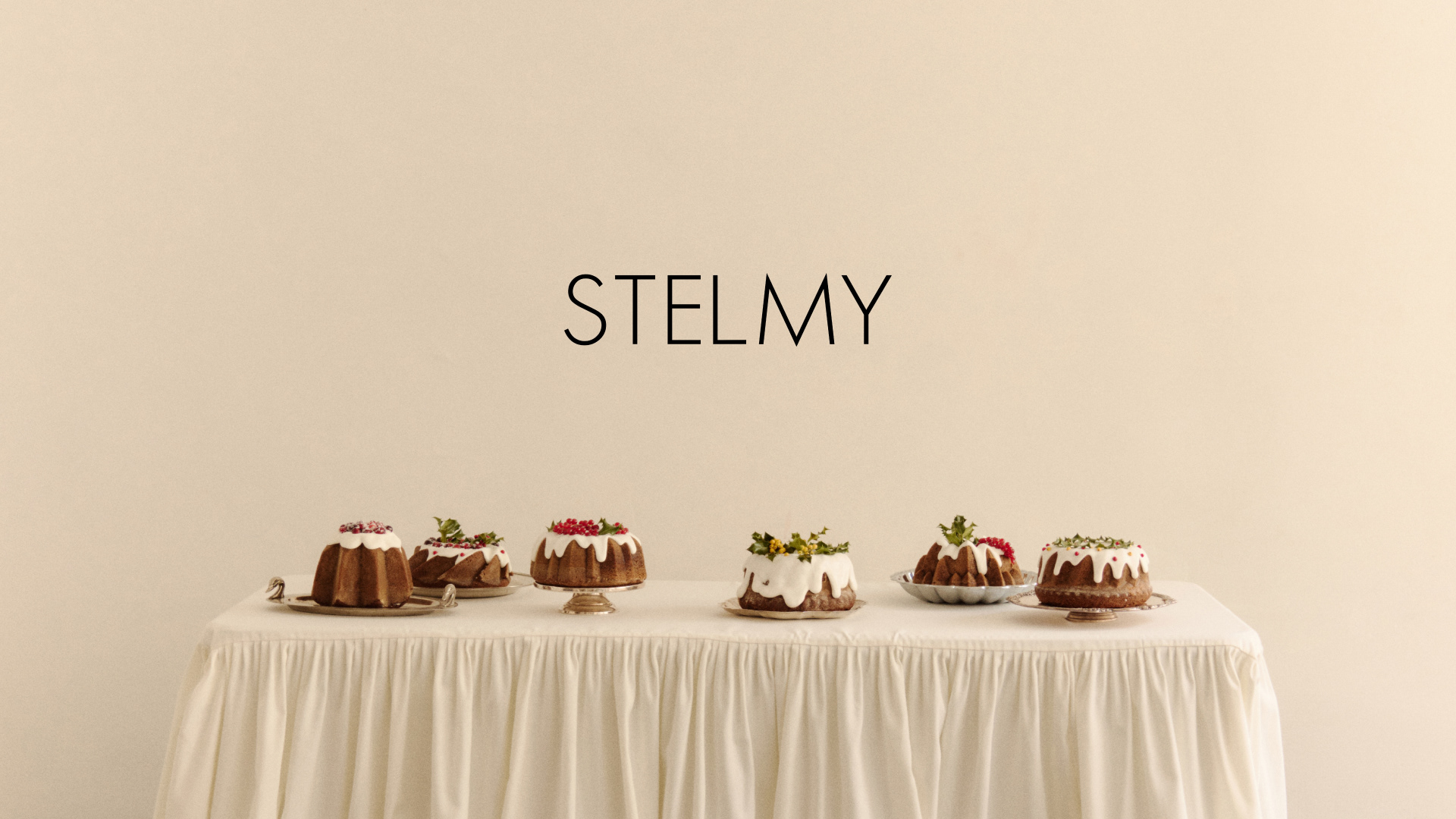 STELMY логотип — Изображение №1 — Брендинг на Dprofile