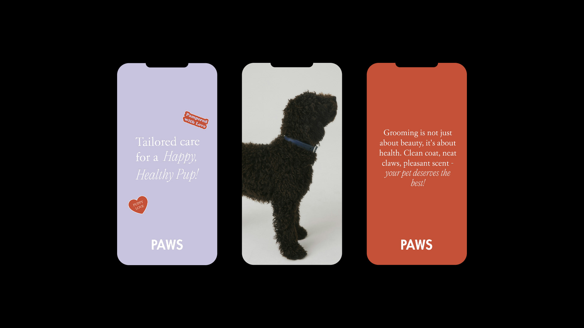 PAWS spa-салон и груминг для собак — Изображение №9 — Брендинг на Dprofile