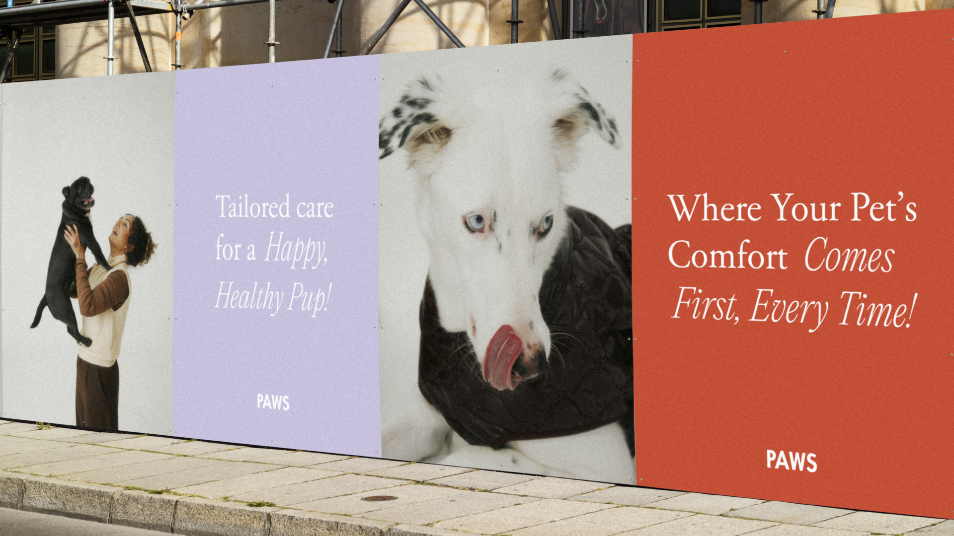 PAWS spa-салон и груминг для собак — Изображение №4 — Брендинг на Dprofile