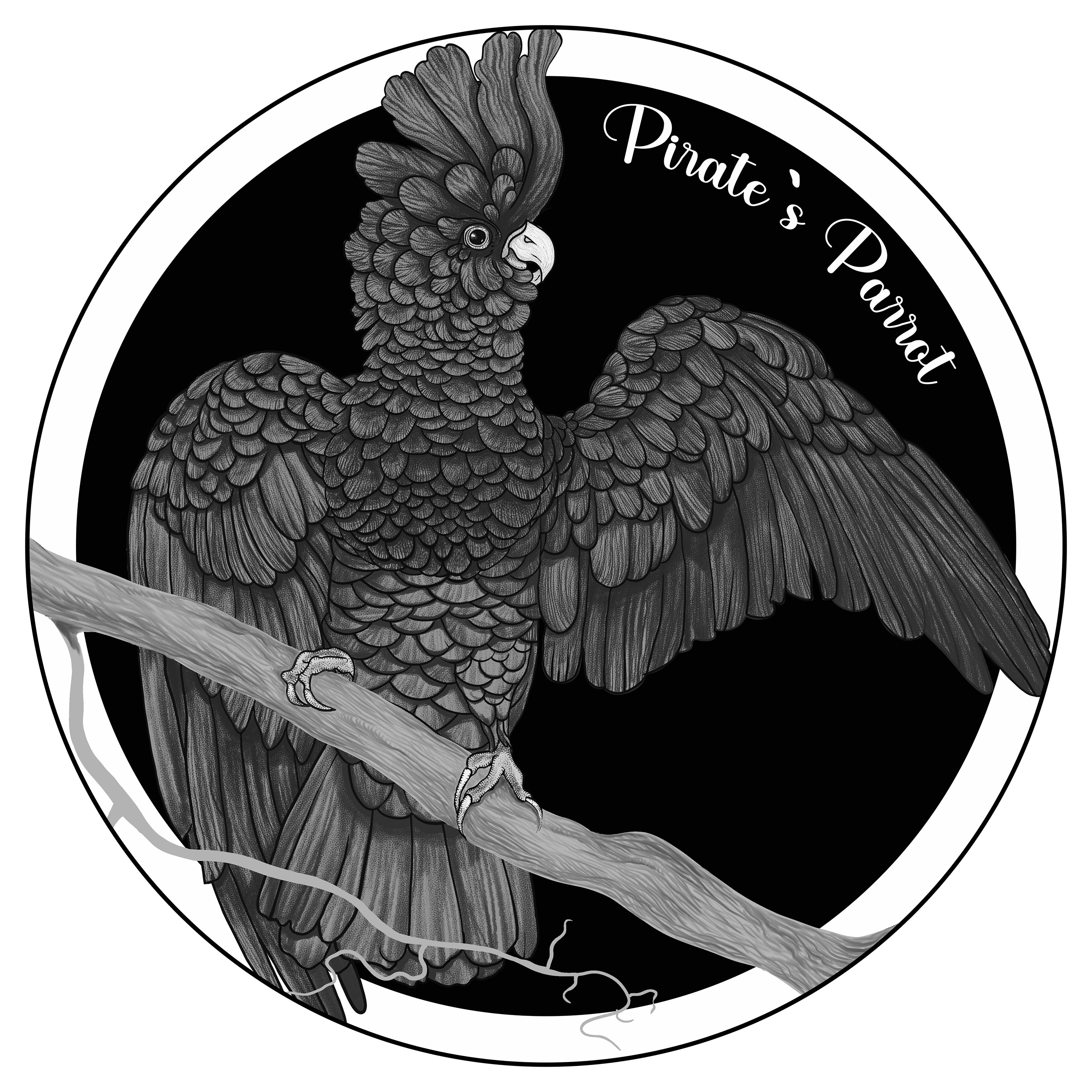 Pirate`s Parrot — Изображение №4 — Интерфейсы, Брендинг на Dprofile