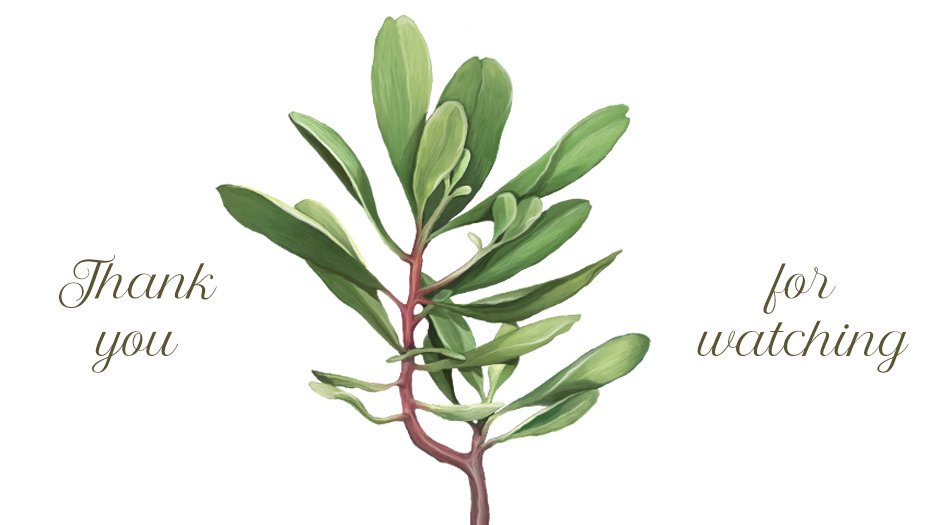 Pirate`s Parrot — Изображение №14 — Интерфейсы, Брендинг на Dprofile