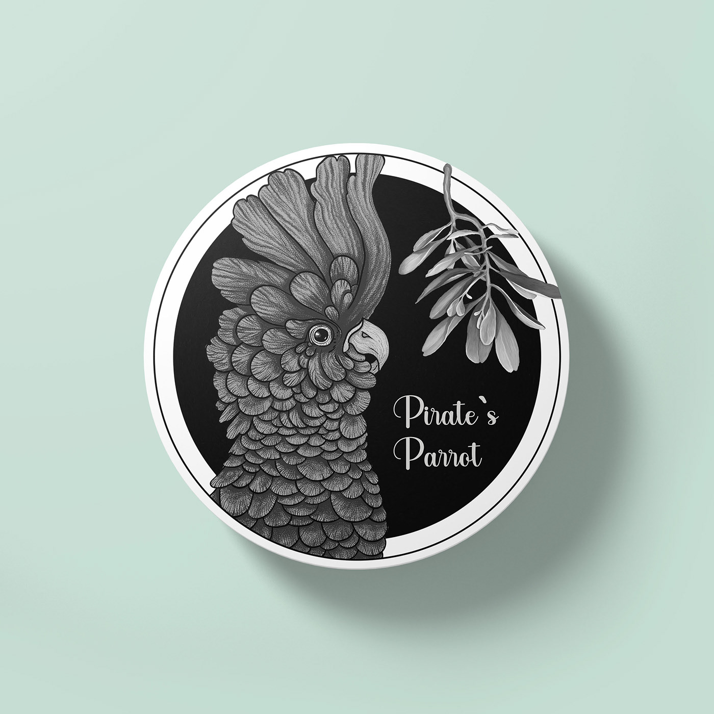 Pirate`s Parrot — Изображение №9 — Интерфейсы, Брендинг на Dprofile