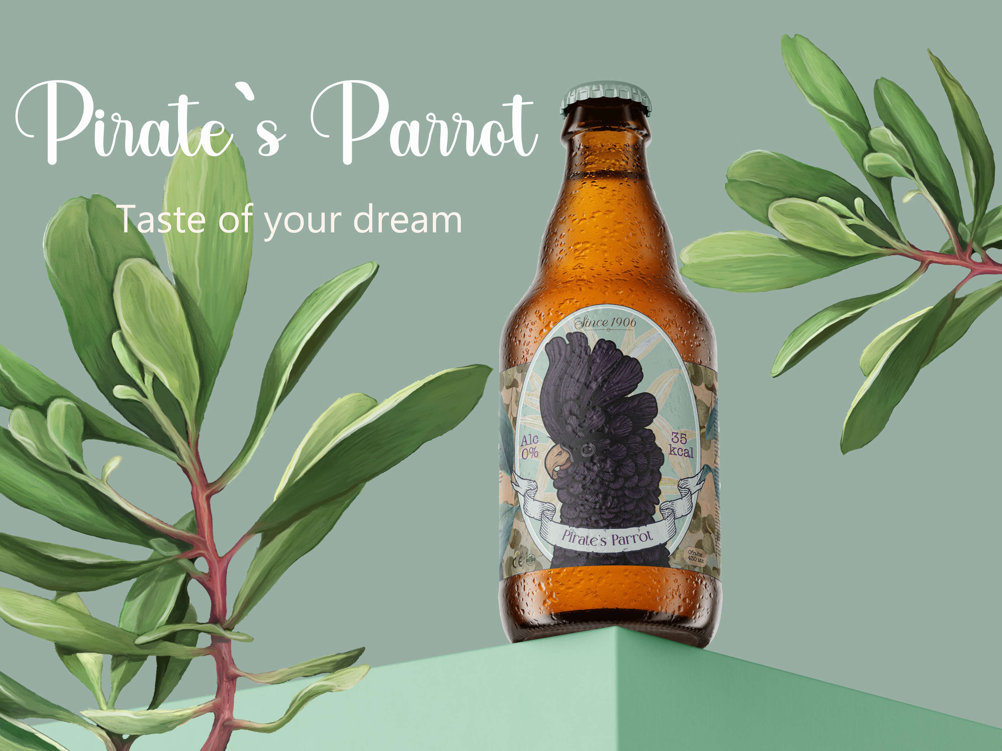 Pirate`s Parrot — Изображение №1 — Интерфейсы, Брендинг на Dprofile