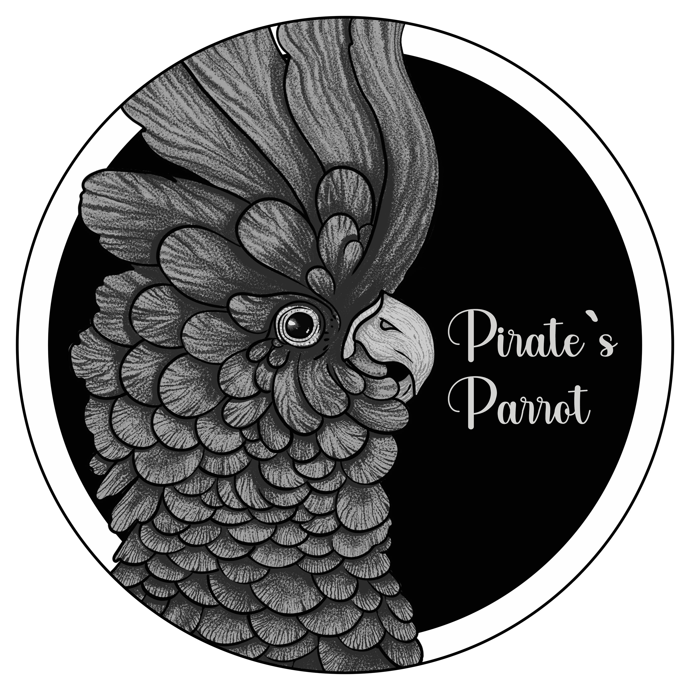 Pirate`s Parrot — Изображение №5 — Интерфейсы, Брендинг на Dprofile