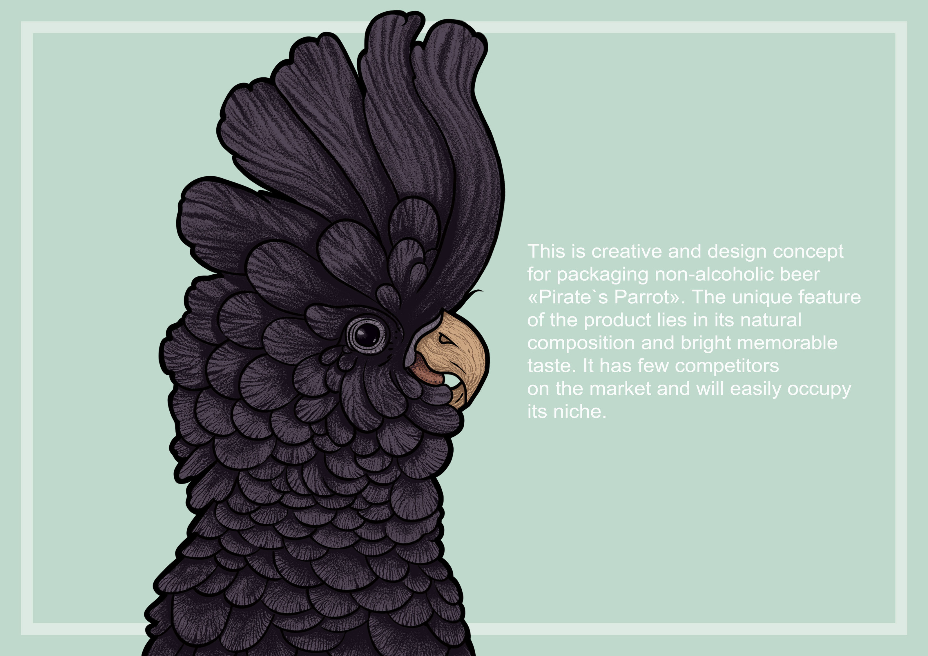 Pirate`s Parrot — Изображение №2 — Интерфейсы, Брендинг на Dprofile