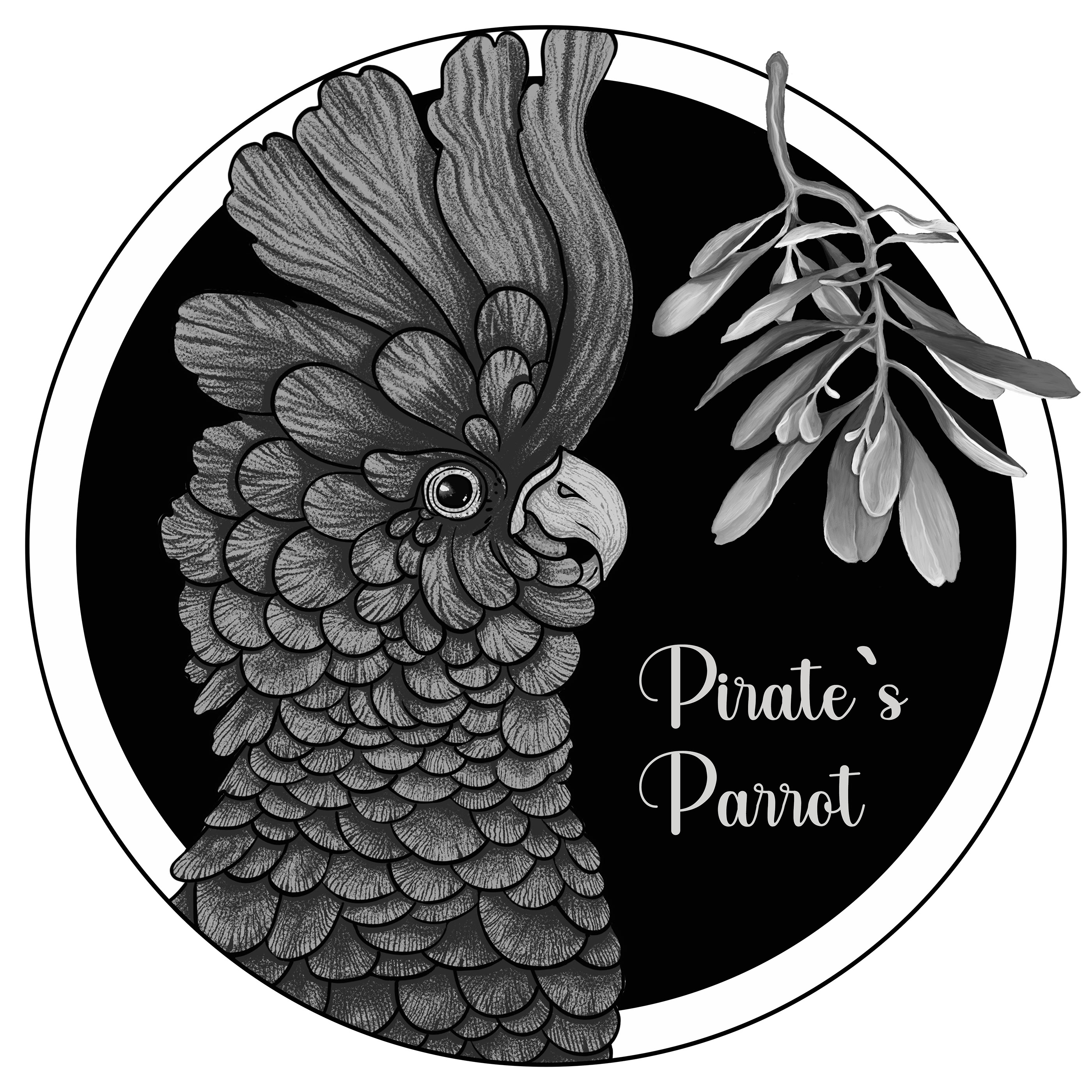 Pirate`s Parrot — Изображение №6 — Интерфейсы, Брендинг на Dprofile