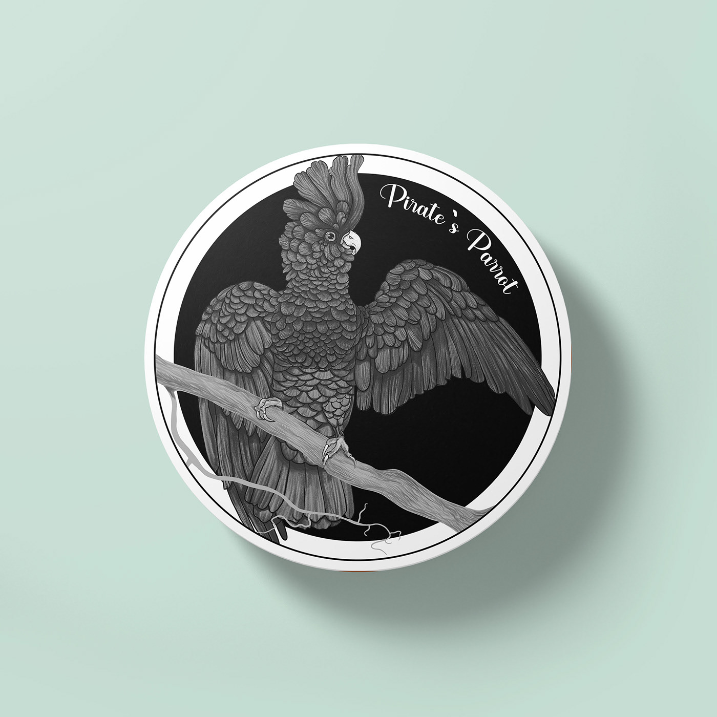 Pirate`s Parrot — Изображение №7 — Интерфейсы, Брендинг на Dprofile