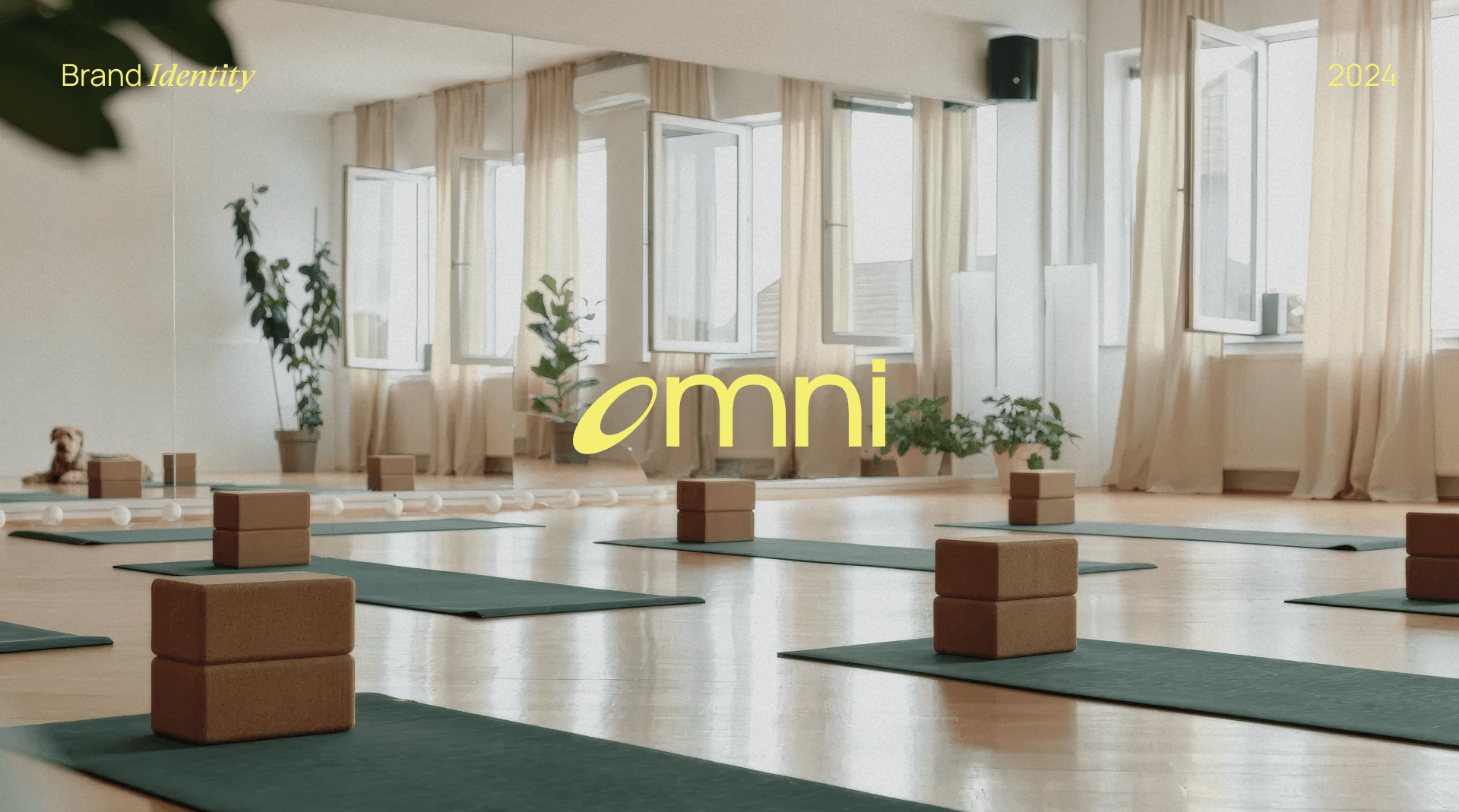 Omni | Brand Identity — Изображение №1 — Брендинг, Графика на Dprofile