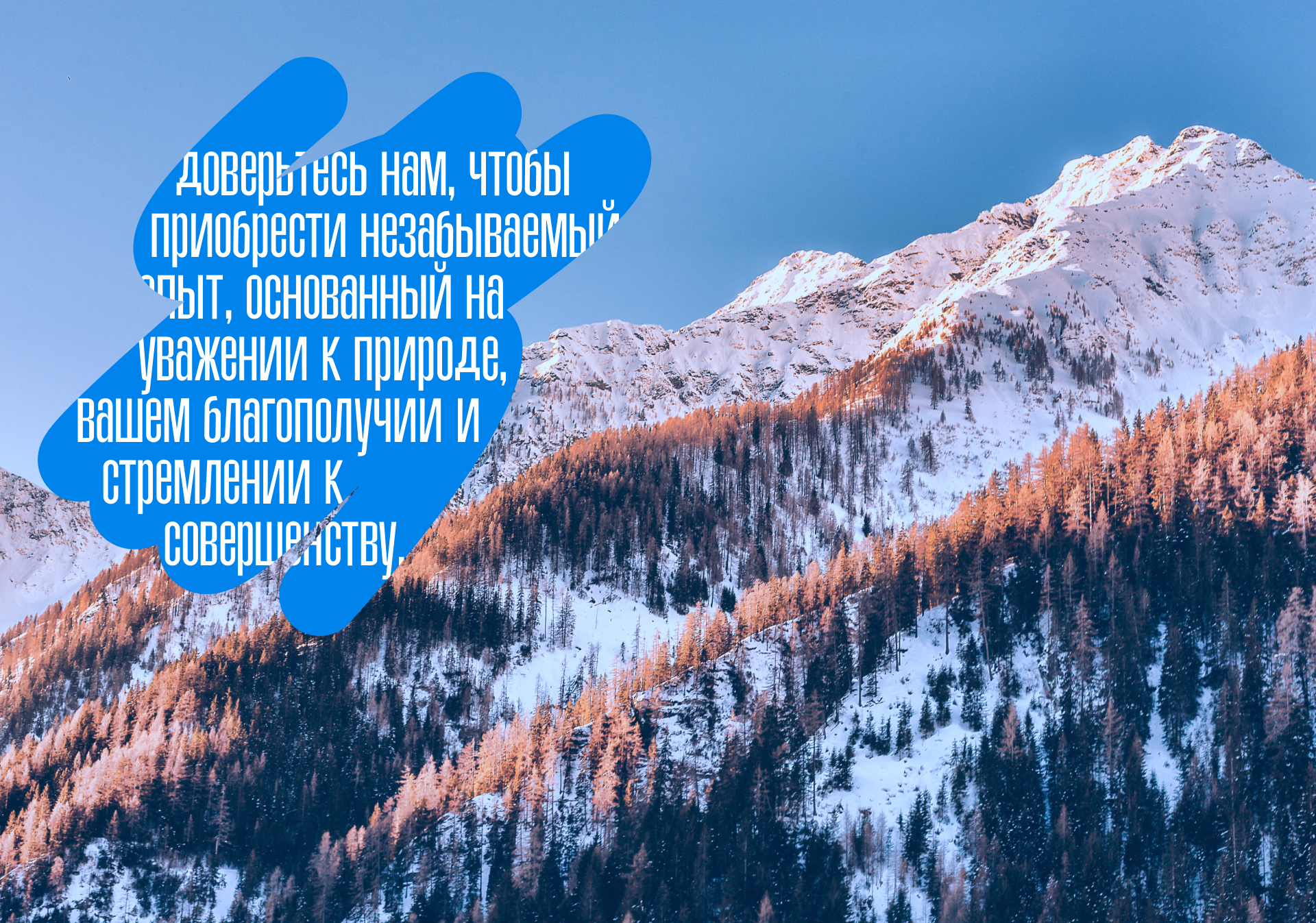 Woodlands | Корпоративный сайт — Изображение №9 — Интерфейсы на Dprofile