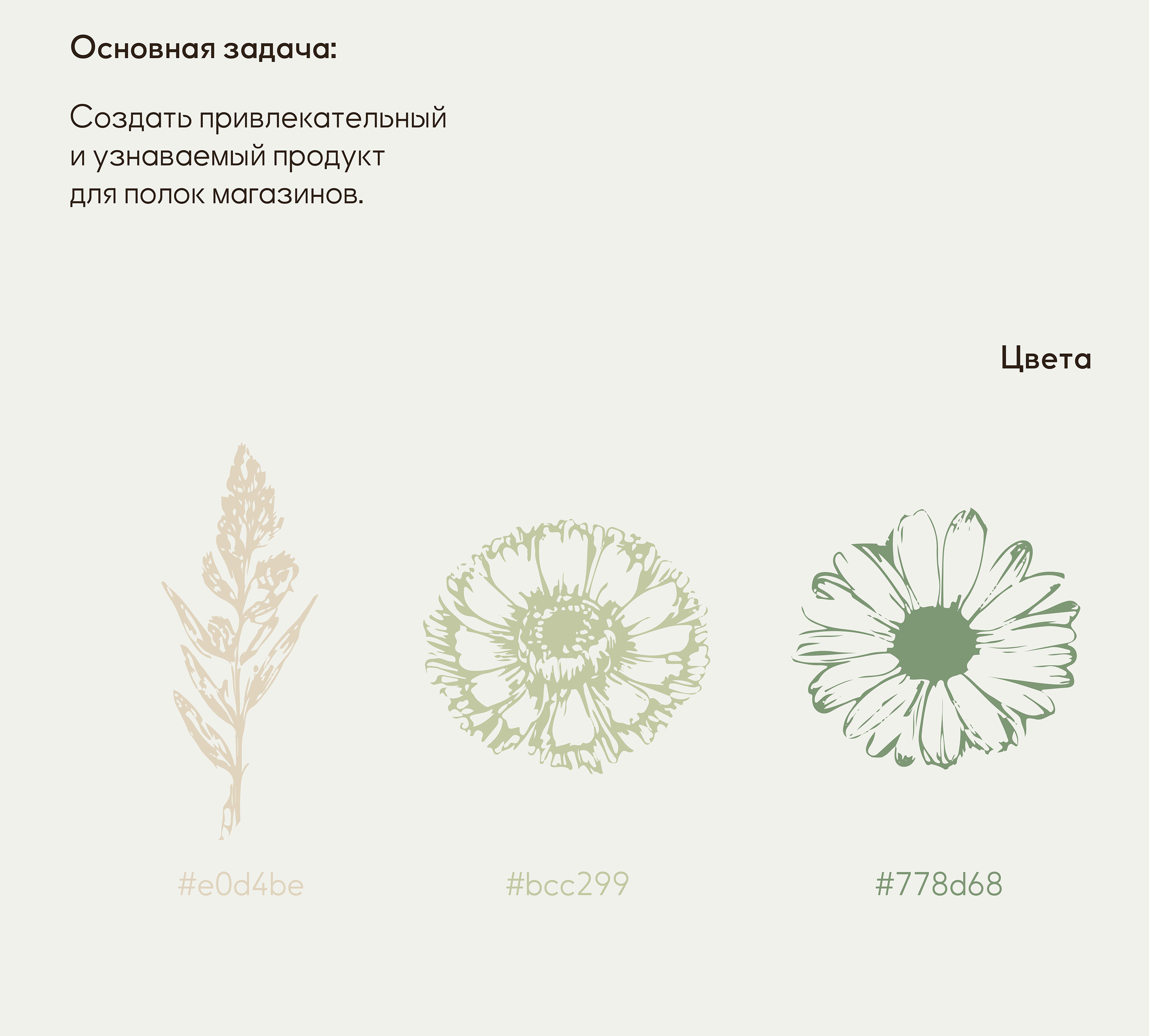 Дизайн упаковки для компании «БиоПродукт» — Изображение №4 — Брендинг на Dprofile