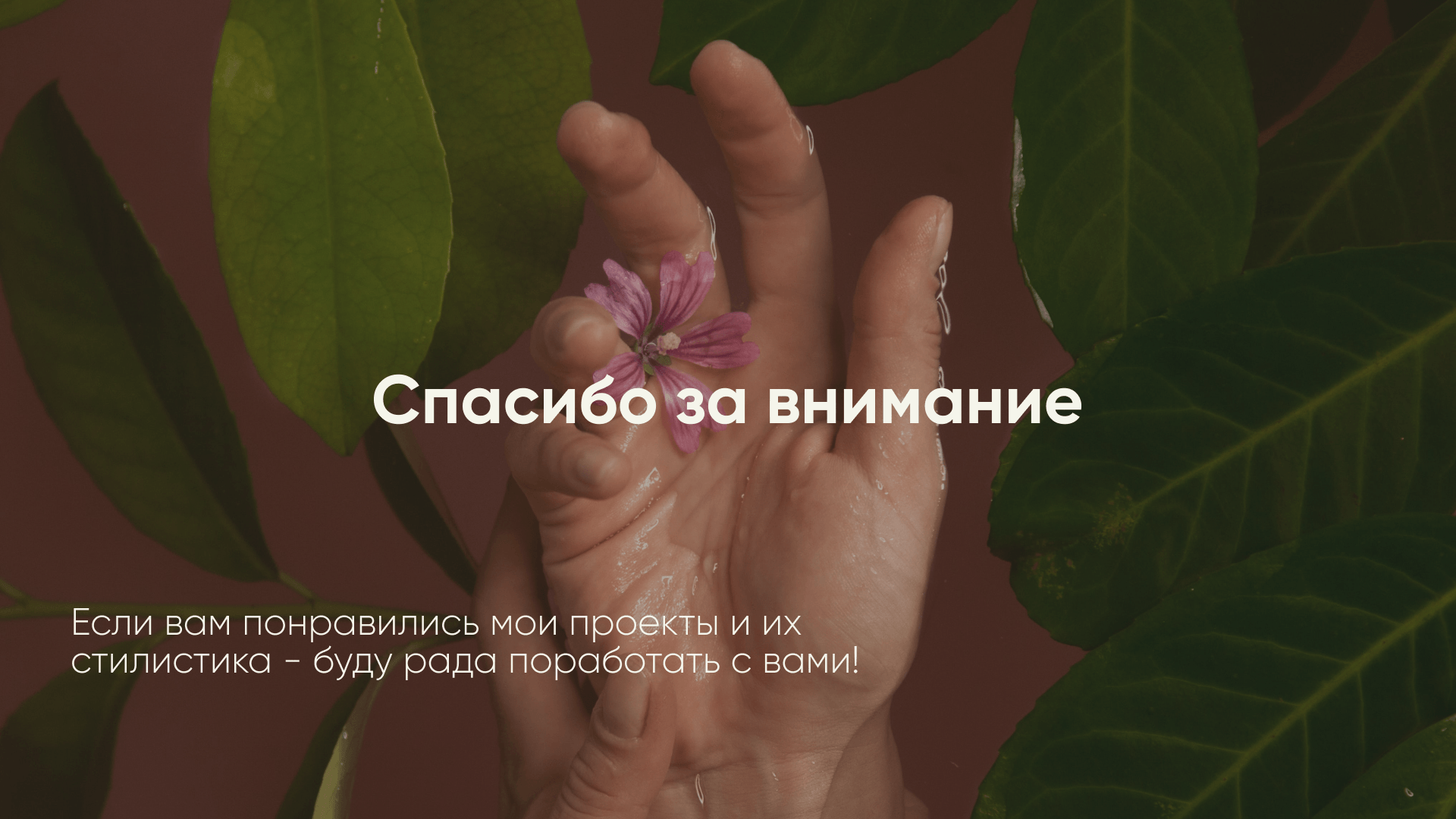 Цветочная ферма | El Flower Farm — Изображение №7 — Брендинг, Маркетинг на Dprofile