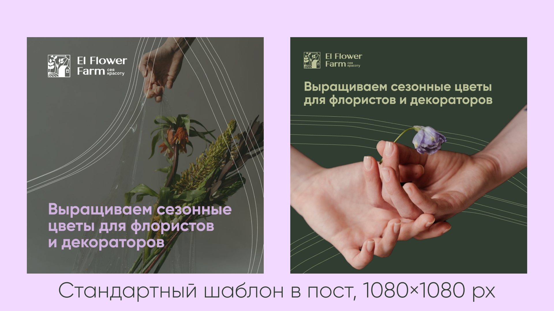 Цветочная ферма | El Flower Farm — Изображение №6 — Брендинг, Маркетинг на Dprofile