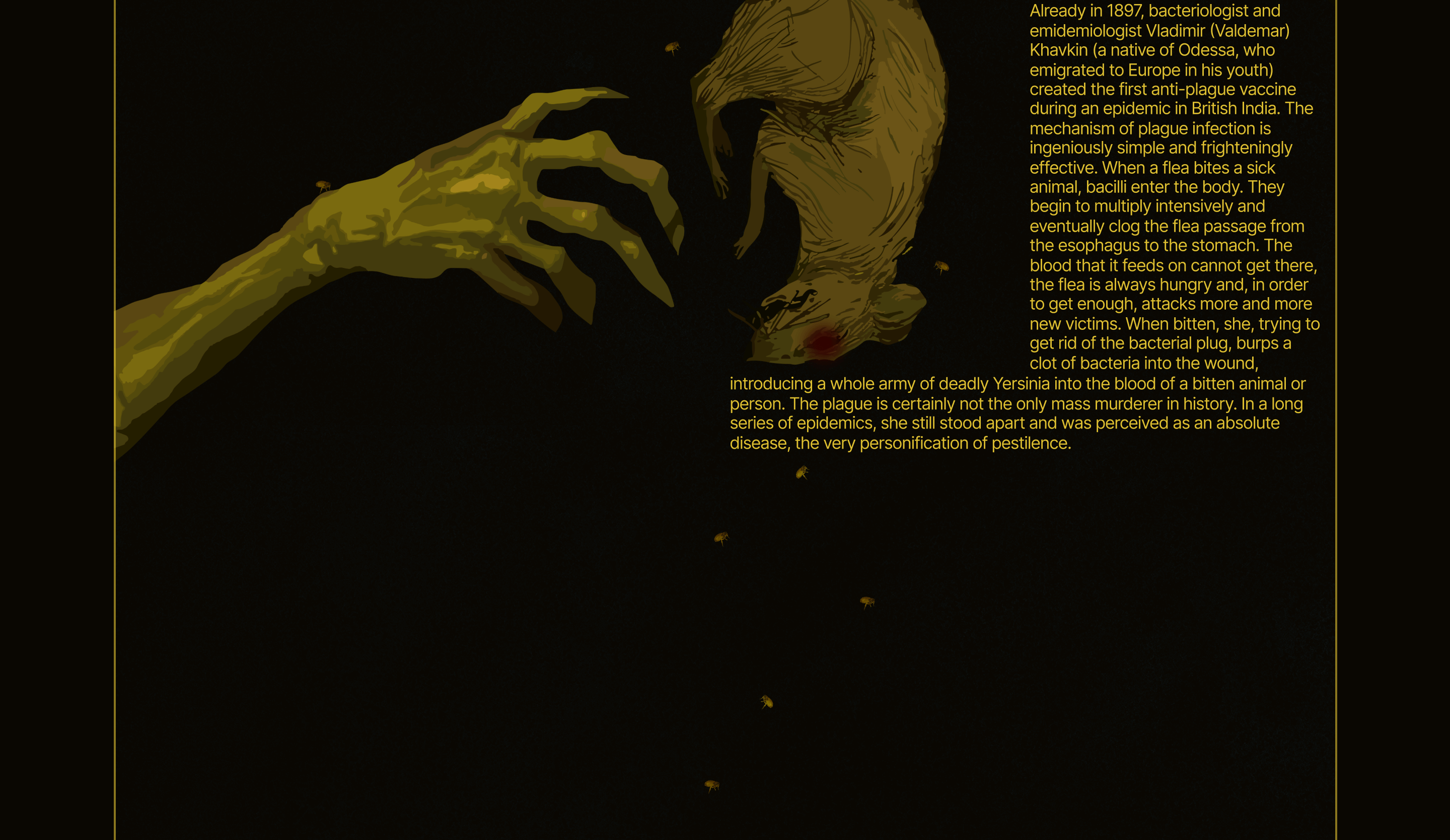 Лонгрид "История чумы" — Изображение №13 — Иллюстрация, Графика на Dprofile