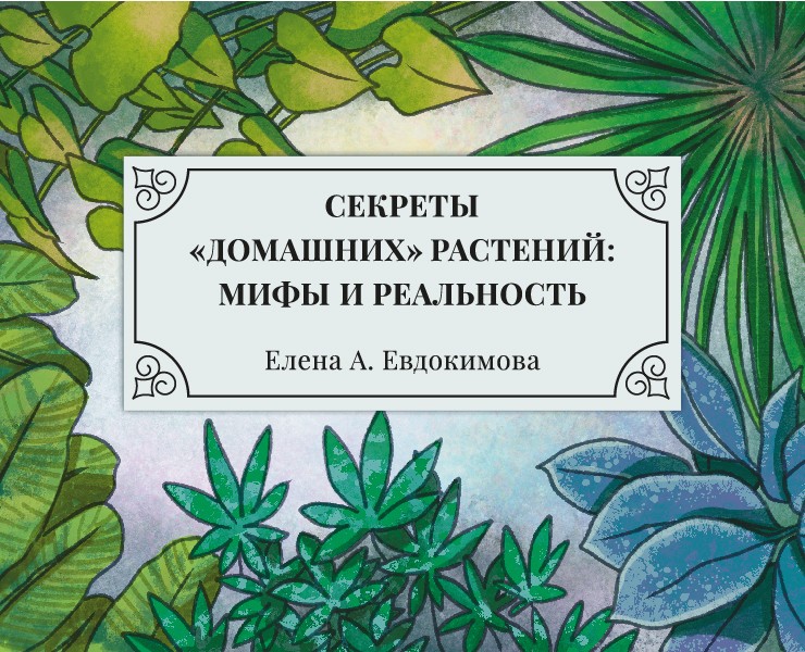Обложка и иллюстрации для книги — Иллюстрация, Графика на Dprofile