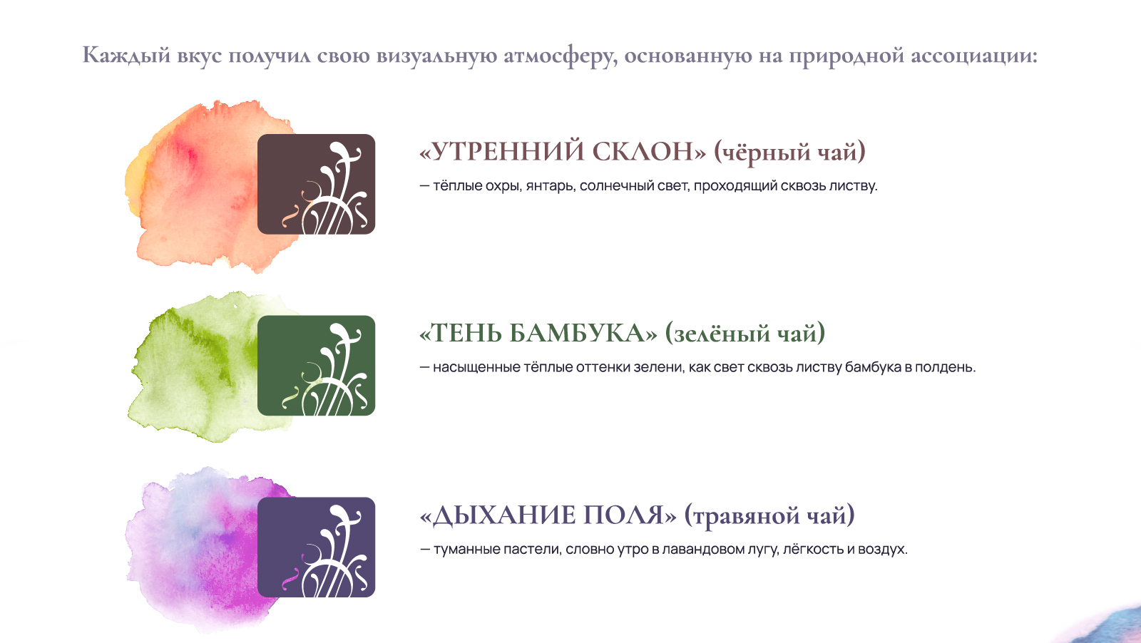 Лист & Свет — Упаковка чая для локального бренда — Изображение №3 — Брендинг, Графика на Dprofile