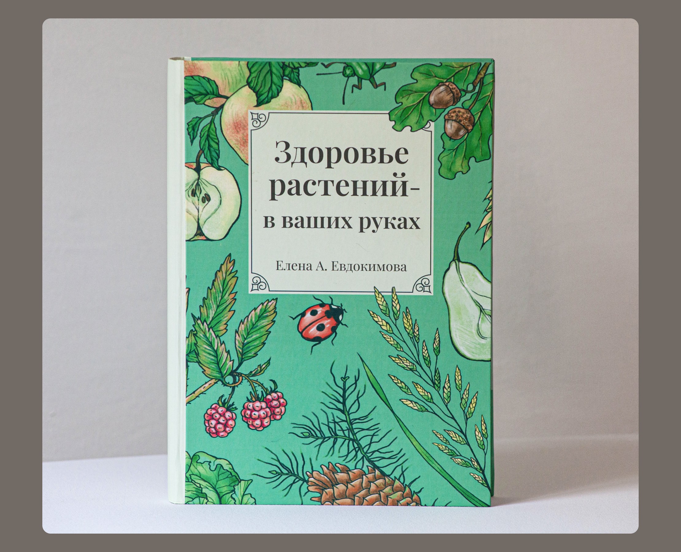 Иллюстрации для книги о здоровье растений — Иллюстрация, Графика на Dprofile