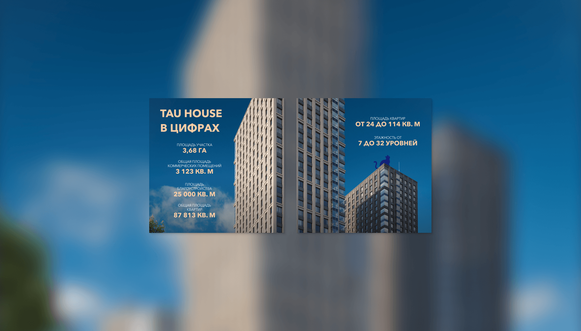 tau house | social media — Изображение №7 — Графика, Маркетинг на Dprofile