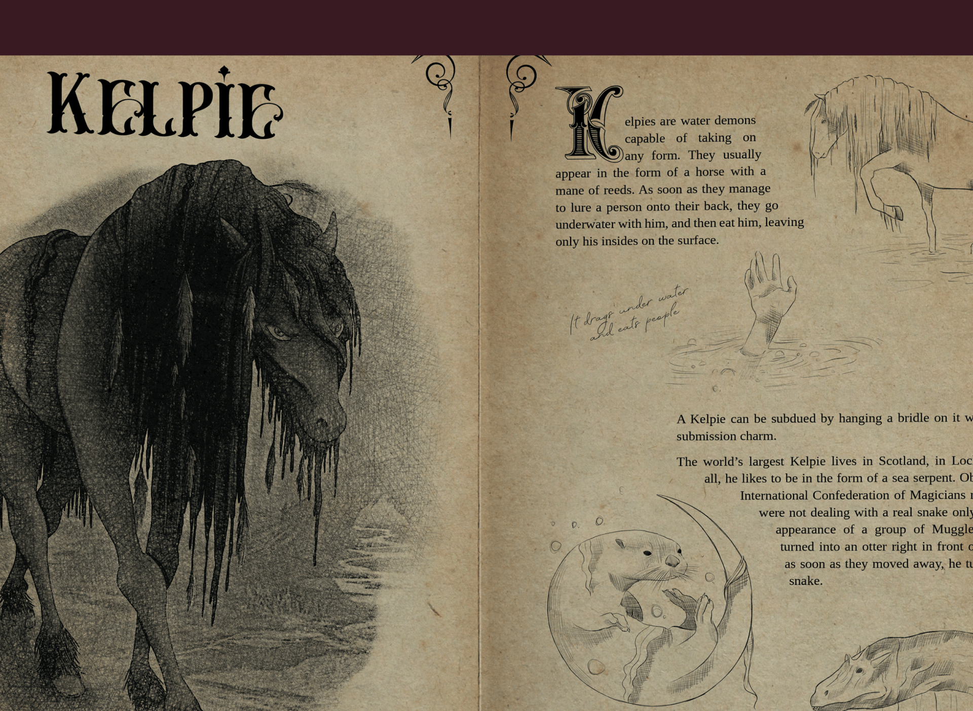 Фантастические твари и где они обитают | Вёрстка книги — Изображение №8 — Графика на Dprofile