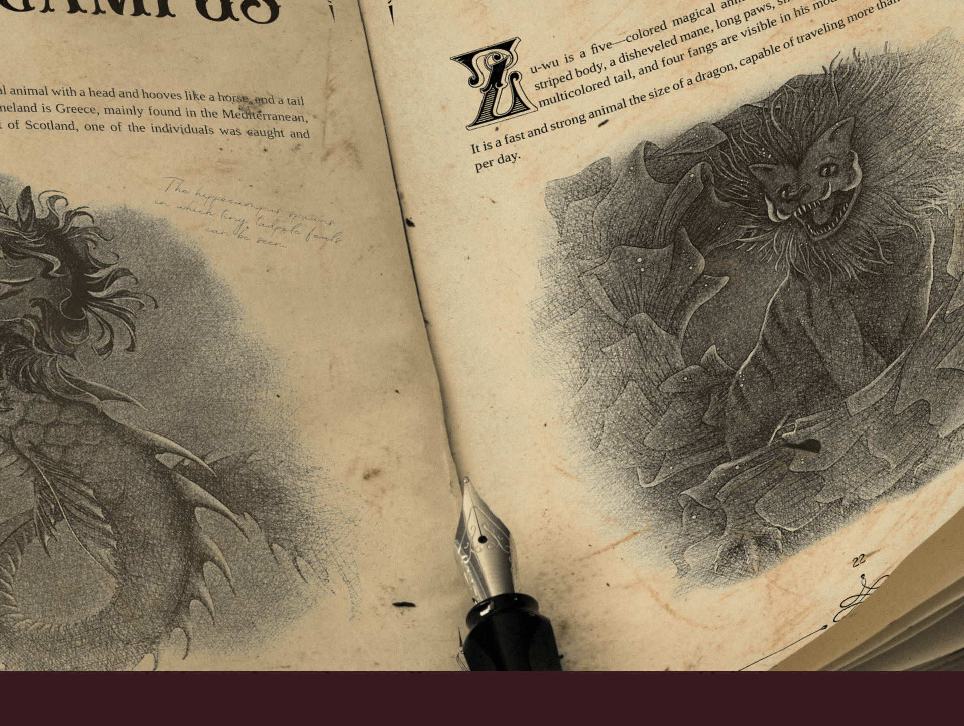 Фантастические твари и где они обитают | Вёрстка книги — Изображение №10 — Графика на Dprofile
