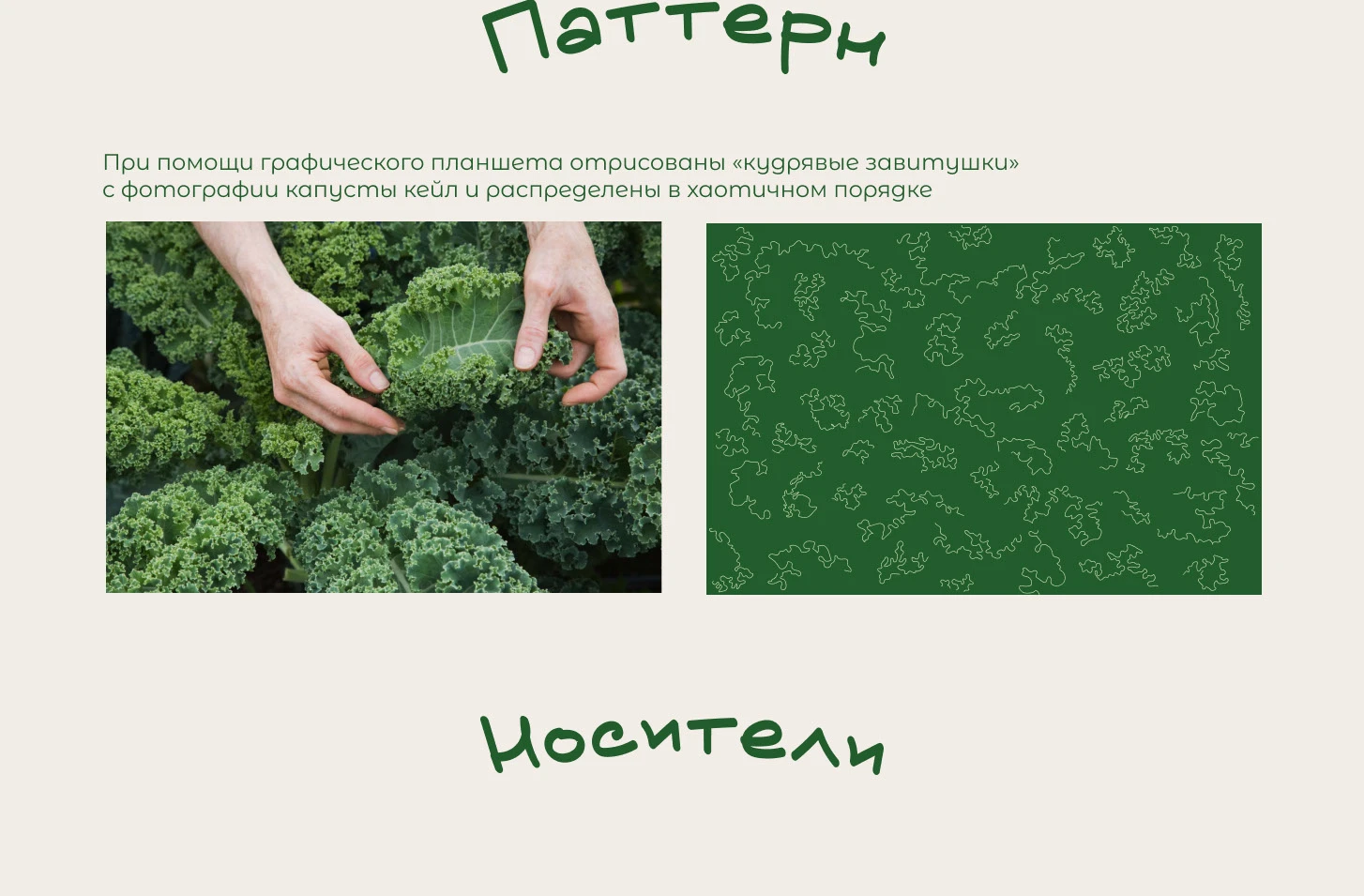 Бренд-дизайн/ Brending — Изображение №6 — Брендинг, Графика на Dprofile