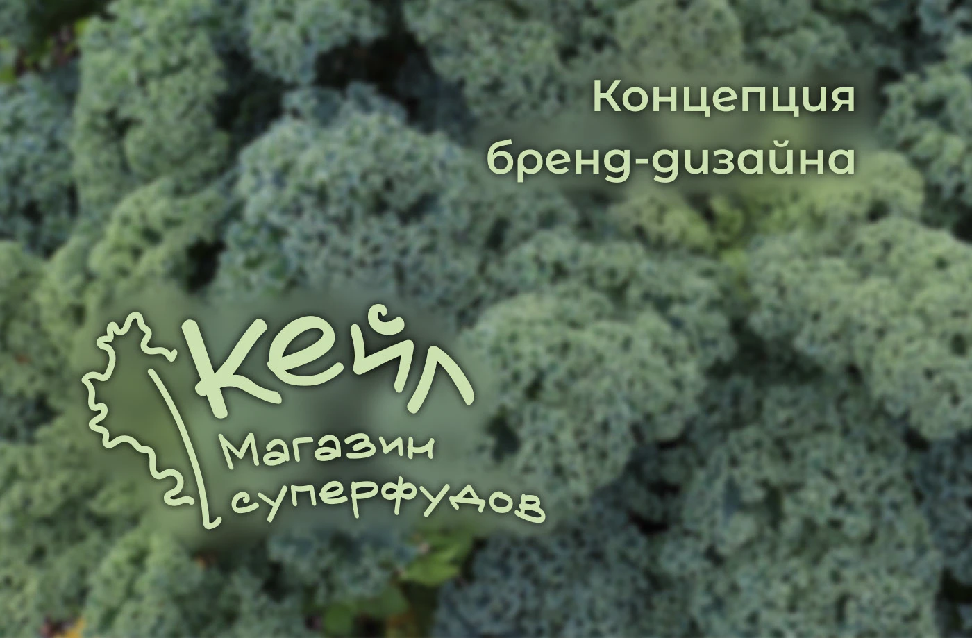 Бренд-дизайн/ Brending — Изображение №1 — Брендинг, Графика на Dprofile
