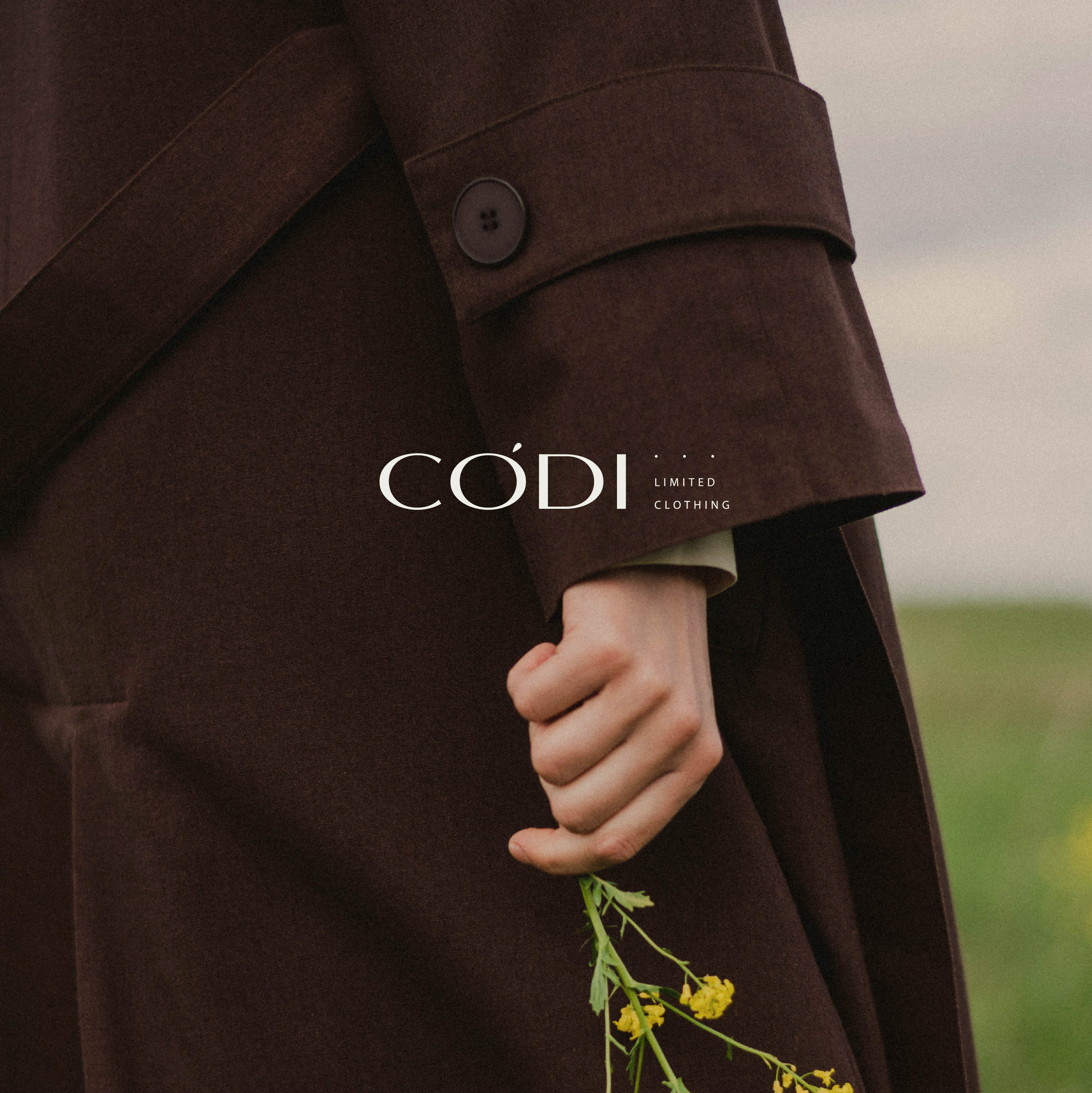 CODI / Айдентика для бренда лимитированной одежды — Изображение №1 — Брендинг, Графика на Dprofile