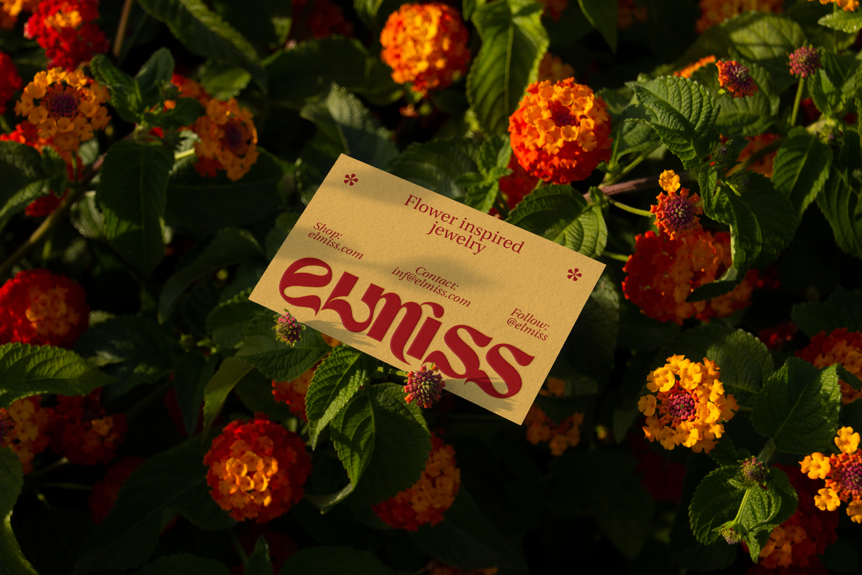 ELMISS / Айдентика для бренда ювелирных украшений — Изображение №4 — Брендинг, Графика на Dprofile