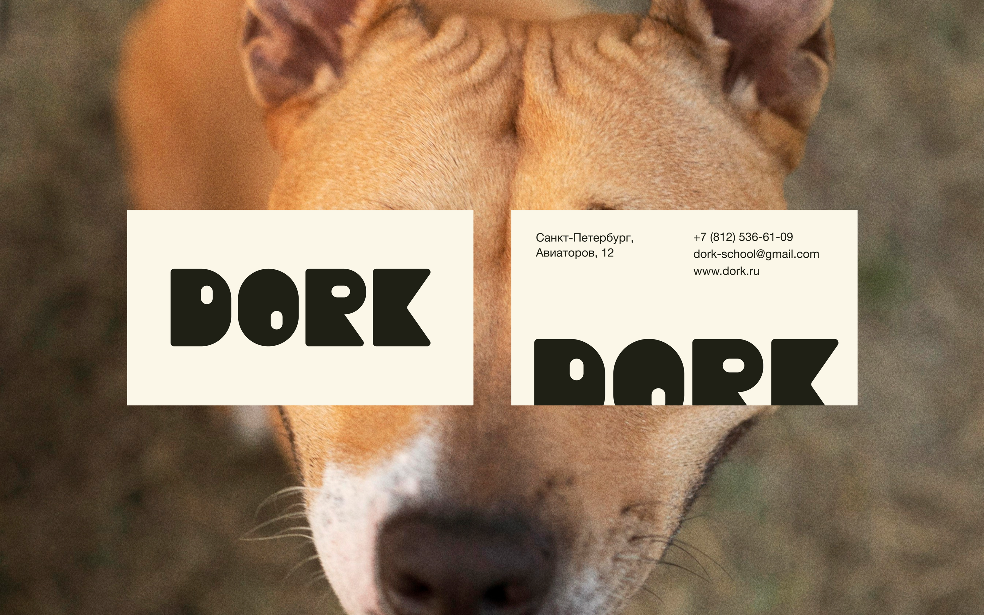Dork | Брендинг и Айдентика — Изображение №2 — Брендинг, Графика на Dprofile