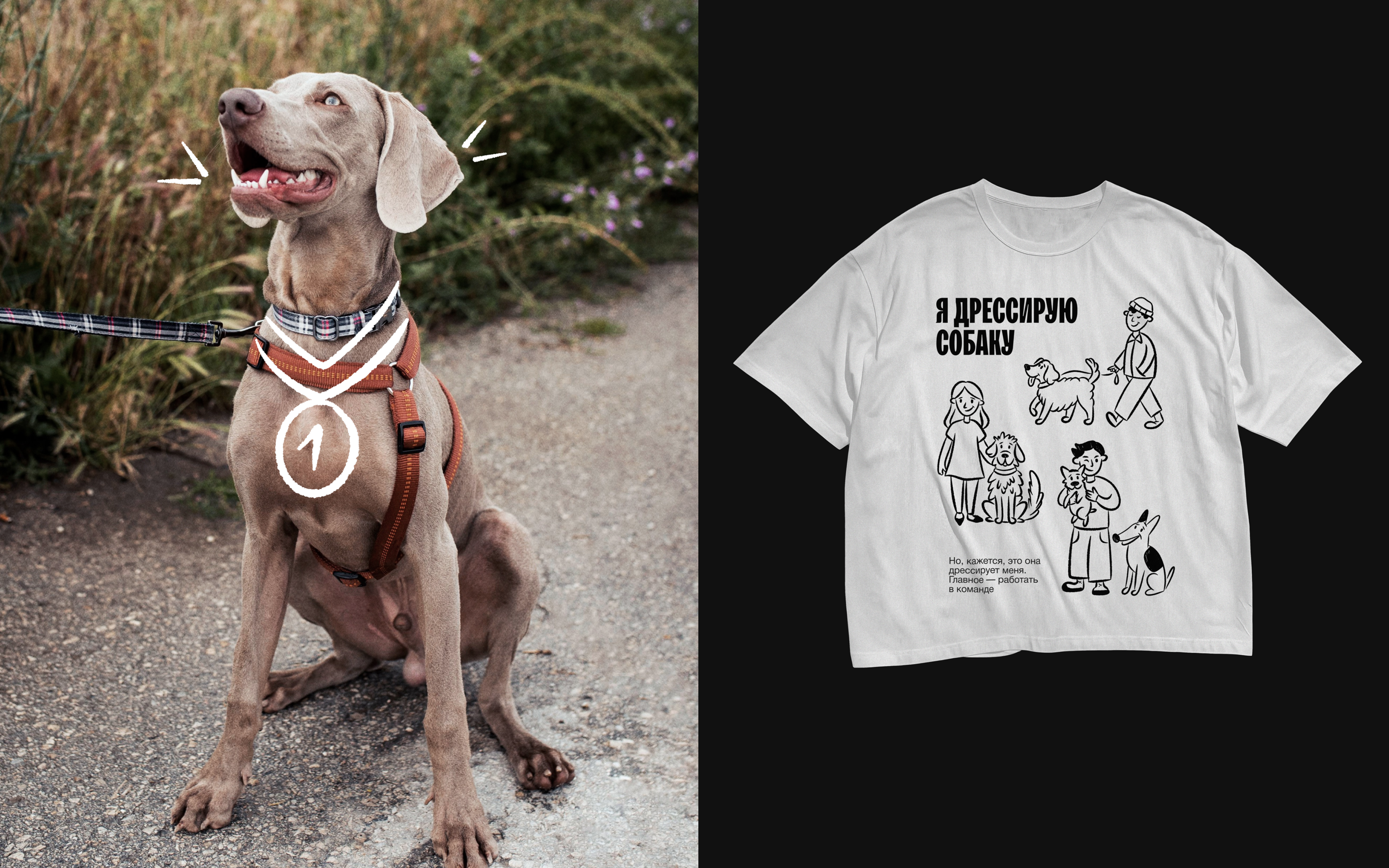 Dork | Брендинг и Айдентика — Изображение №4 — Брендинг, Графика на Dprofile