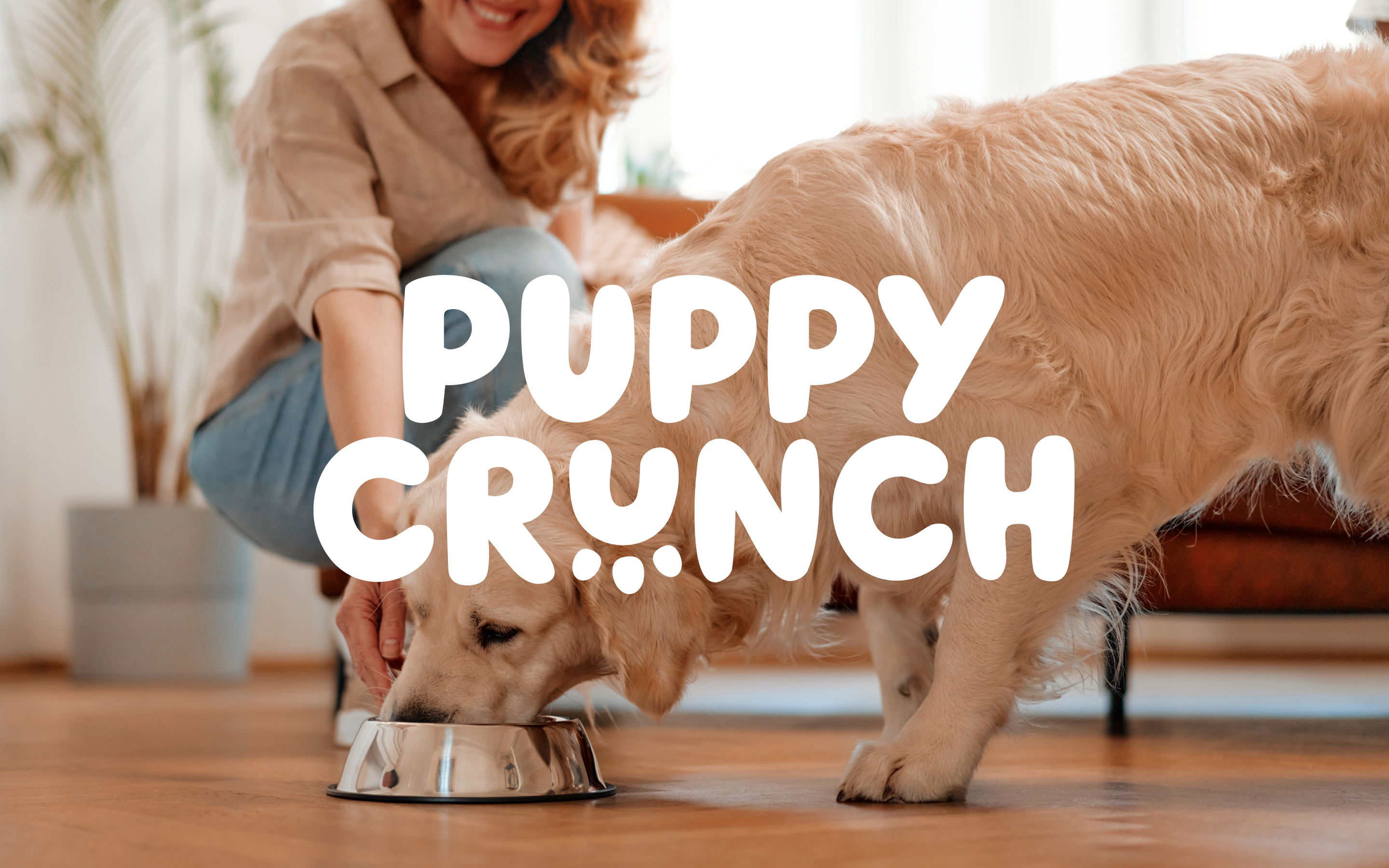 Puppy Crunch | Айдентика и упаковка — Изображение №1 — Брендинг на Dprofile