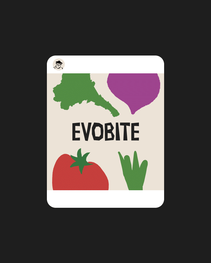 Чипсы Evobite | Упаковка и айдентика — Изображение №11 — Брендинг на Dprofile